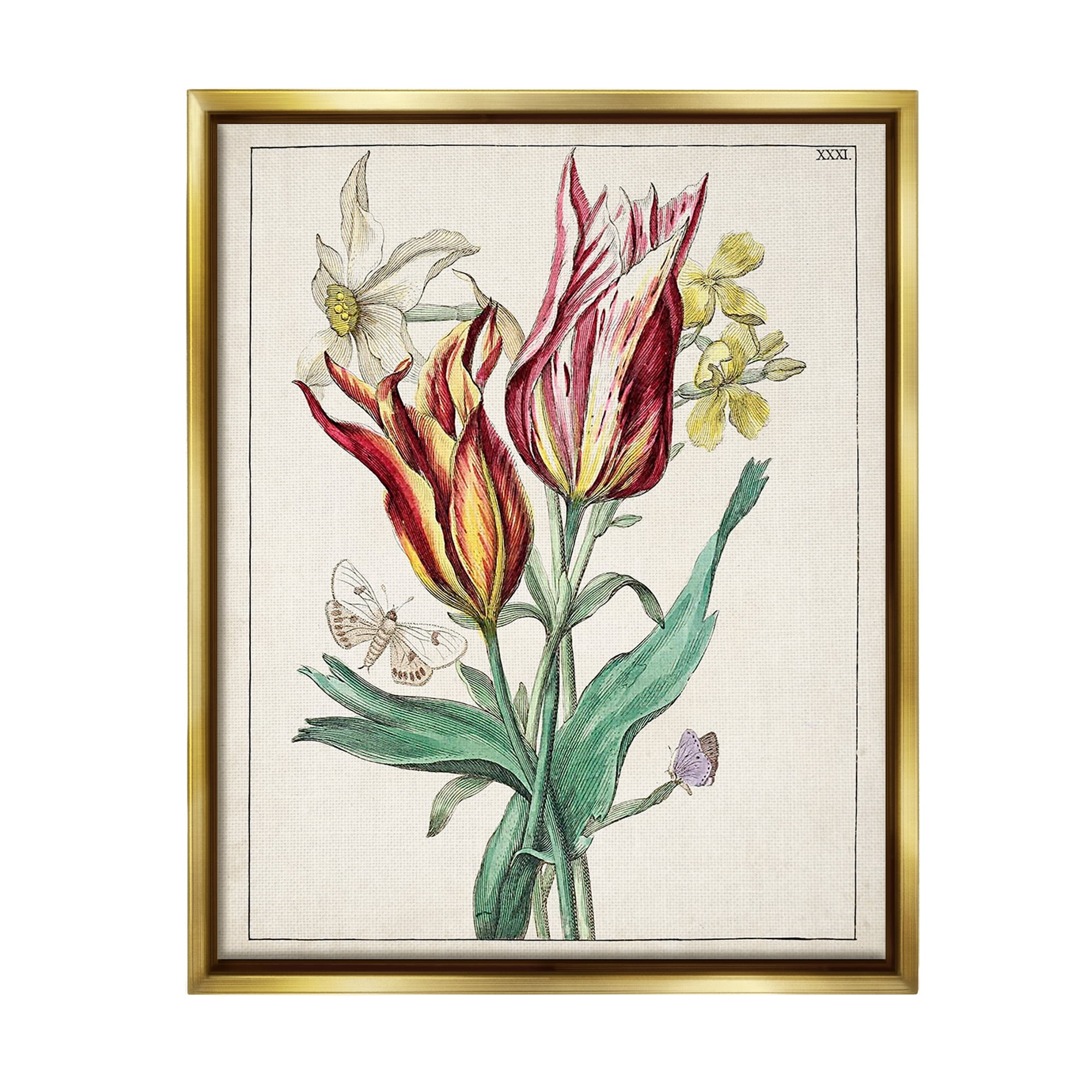 Stupell Industries Tulips & Moths Study Botanical & Floral Painting Gold Floater Framed Canvas Art Print Wall Art, 17 x 21