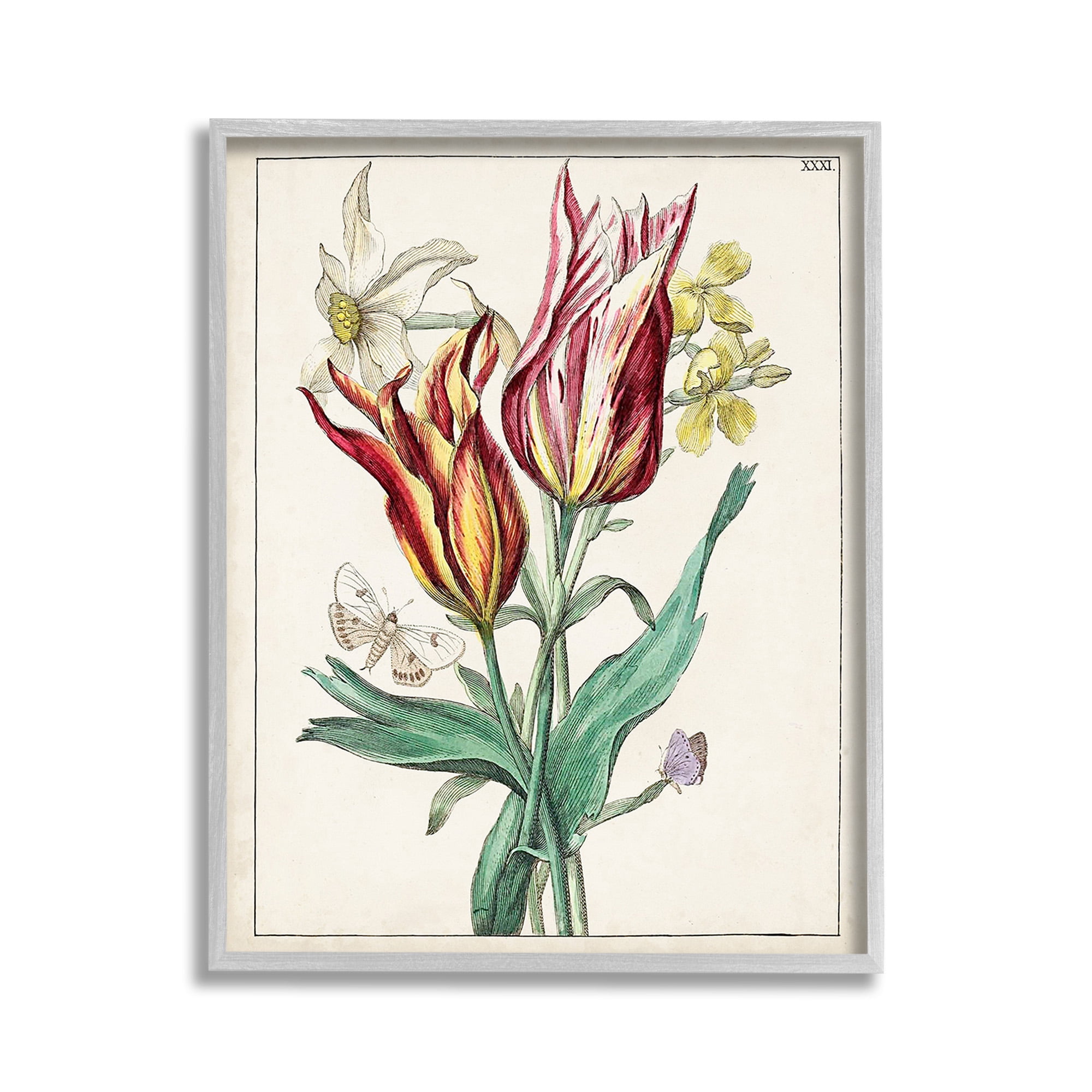 Stupell Industries Tulips & Moths Study Botanical & Floral Painting Gray Framed Art Print Wall Art, 11 x 14