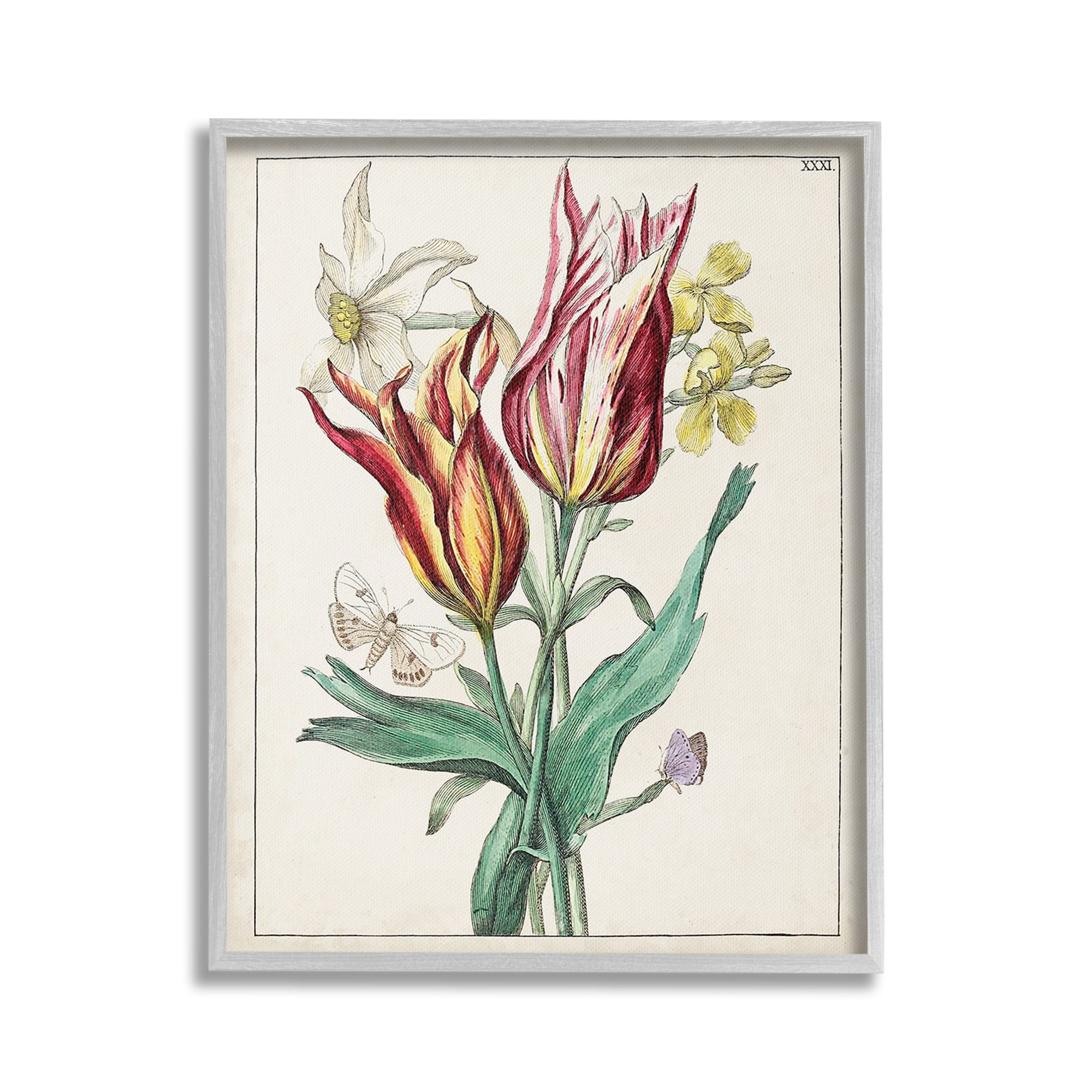 Stupell Industries Tulips & Moths Study Botanical & Floral Painting Gray Framed Art Print Wall Art, 16 x 20