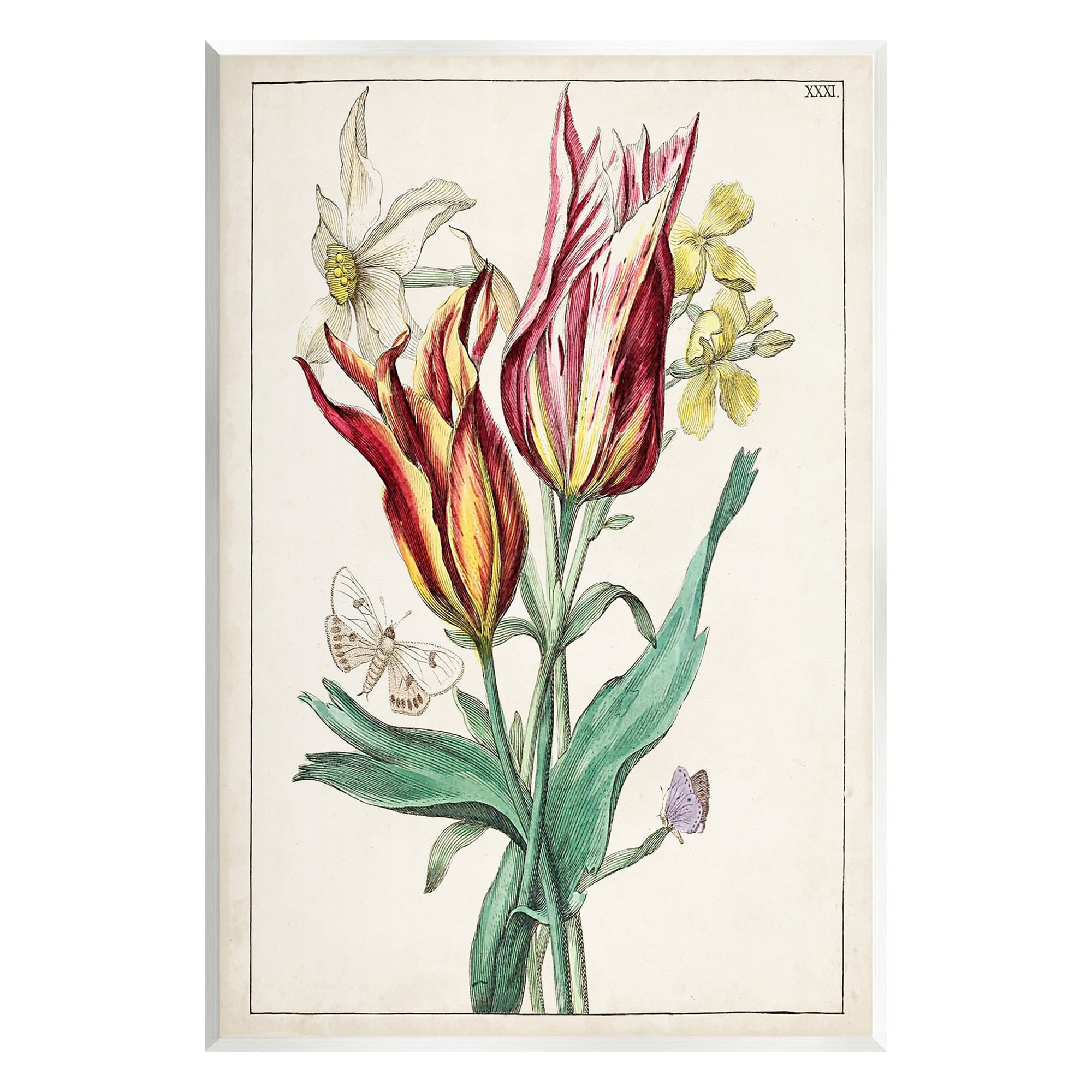 Stupell Industries Tulips & Moths Study Botanical & Floral Painting Unframed Art Print Wall Art, 13 x 19