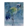 thumbnail image 1 of Stupell Industries Rustic Lodge Turquoise Feathered Coastal Bird Canvas Art, 24 x 30, by Franklyn Gregory, 1 of 8