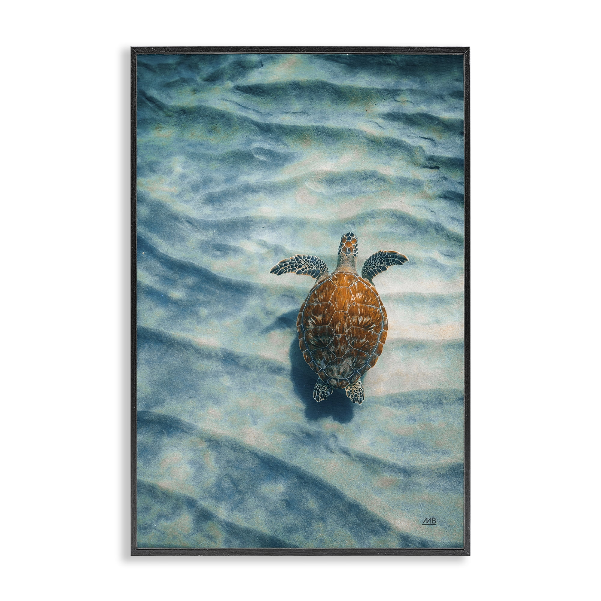 Stupell Industries Turtle Along Rippling Sand Animals Photography Black Framed Art Print Wall Art, 16 x 24