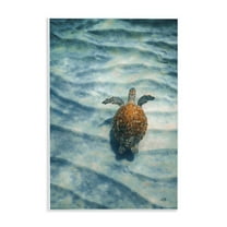 Stupell Industries Turtle Along Rippling Sand Animals Photography Unframed Art Print Wall Art, 10 x 15