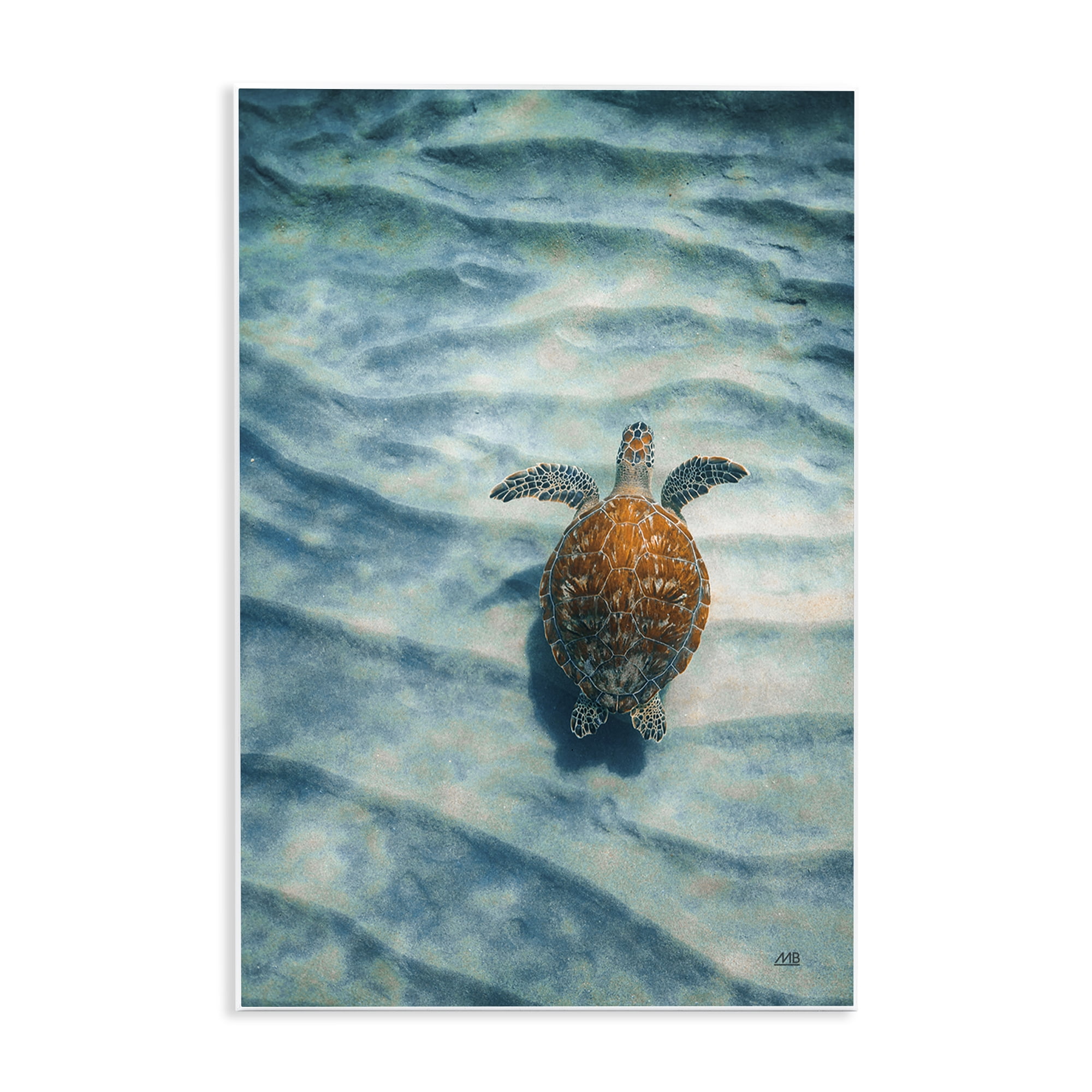 Stupell Industries Turtle Along Rippling Sand Animals Photography Unframed Art Print Wall Art, 13 x 19