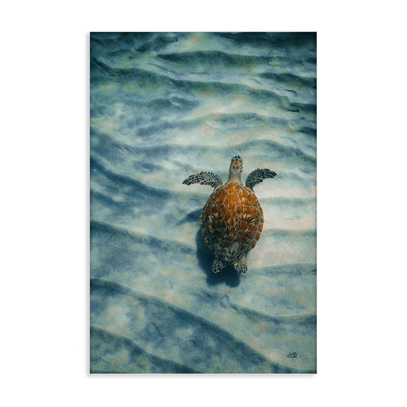 Stupell Industries Turtle Along Rippling Sand Animals Photography Wrapped Canvas Art Print Wall Art, 24 x 36