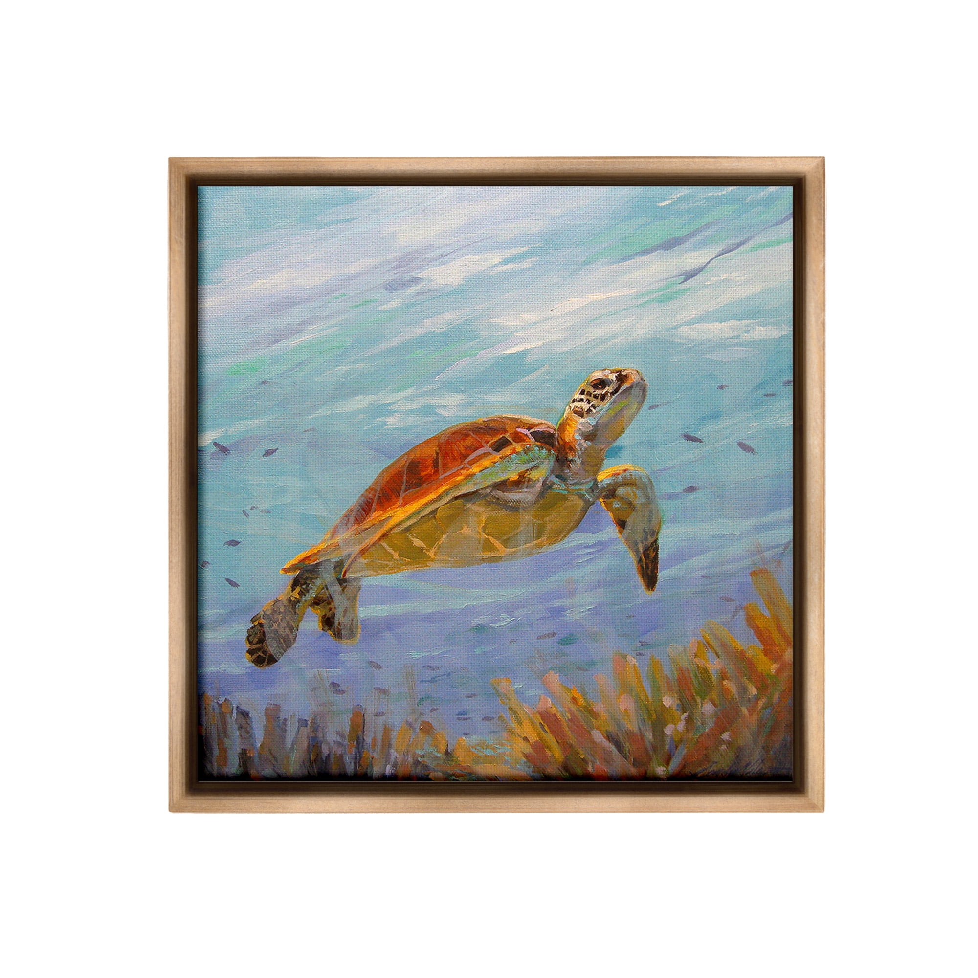 Stupell Industries Turtle Among Coral Reef Animals & Insects Painting Brown Floater Framed Canvas Art Print Wall Art, 25 x 25
