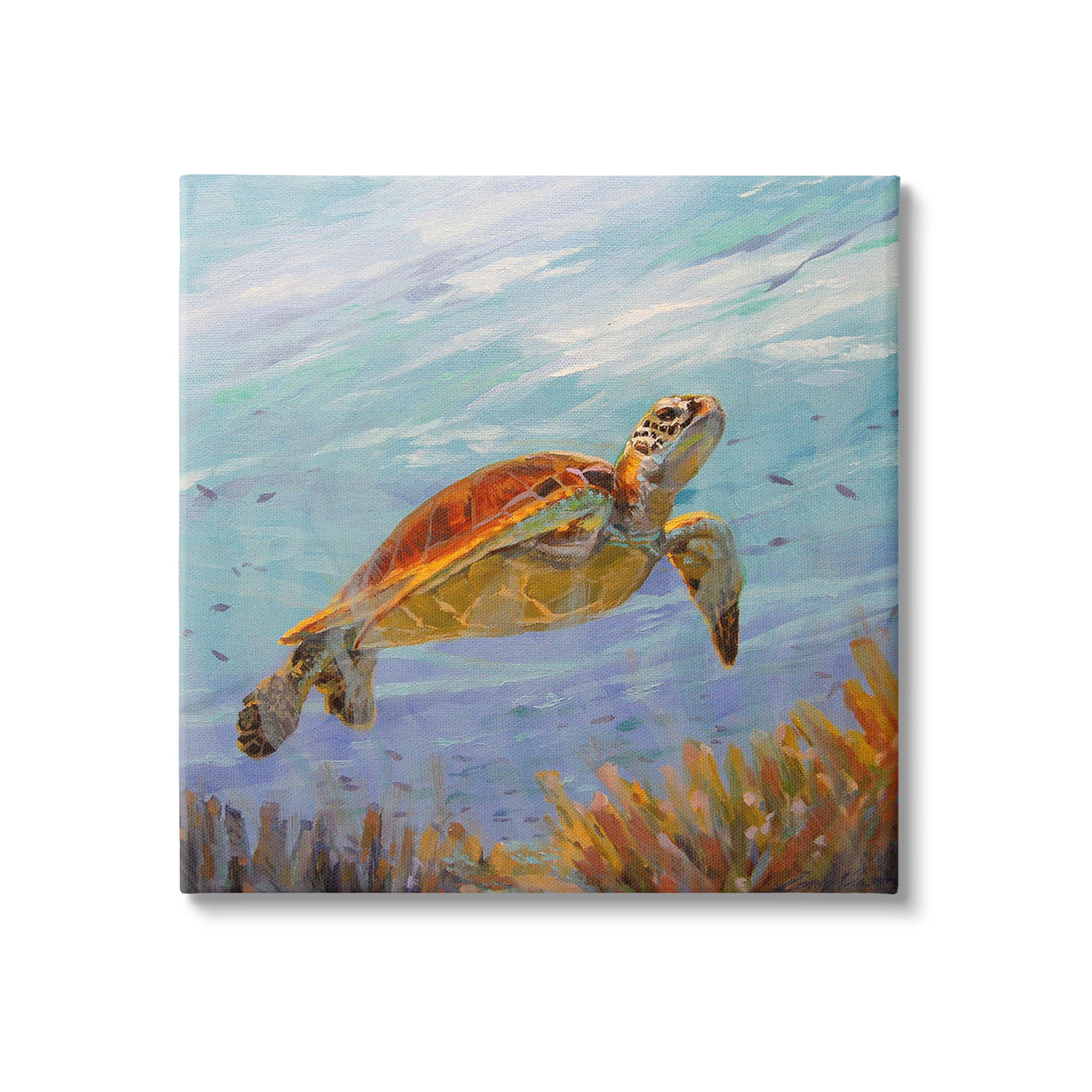 Turtle Among Coral Reef Canvas Art Print in 17" x 17"