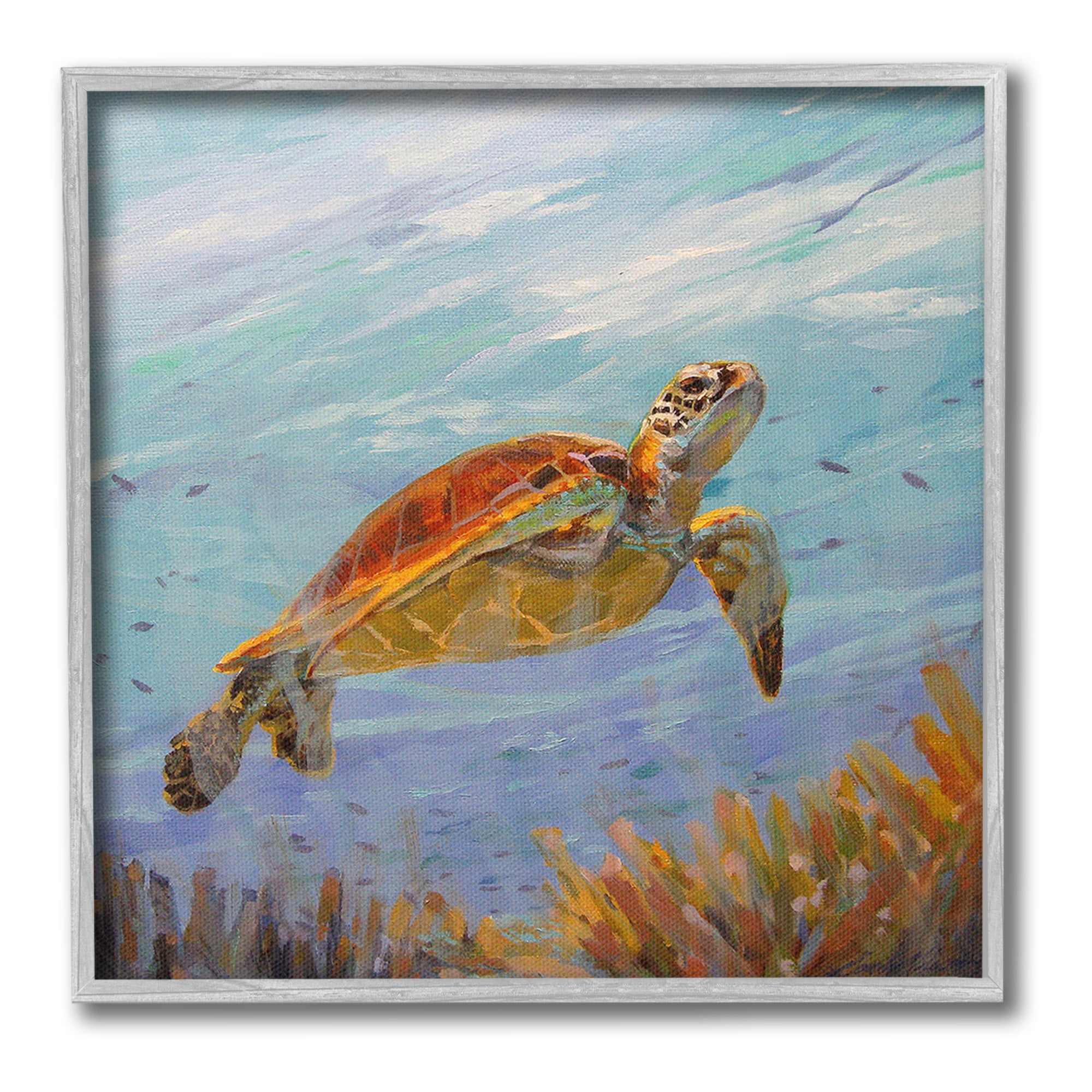 Stupell Industries Turtle Among Coral Reef Animals & Insects Painting Gray Framed Art Print Wall Art, 24 x 24