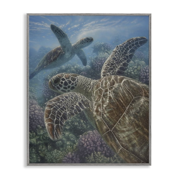 Stupell Industries Turtle Bay over Reef Gray Framed Giclee Art design by Collin Bogle, 30 x 24