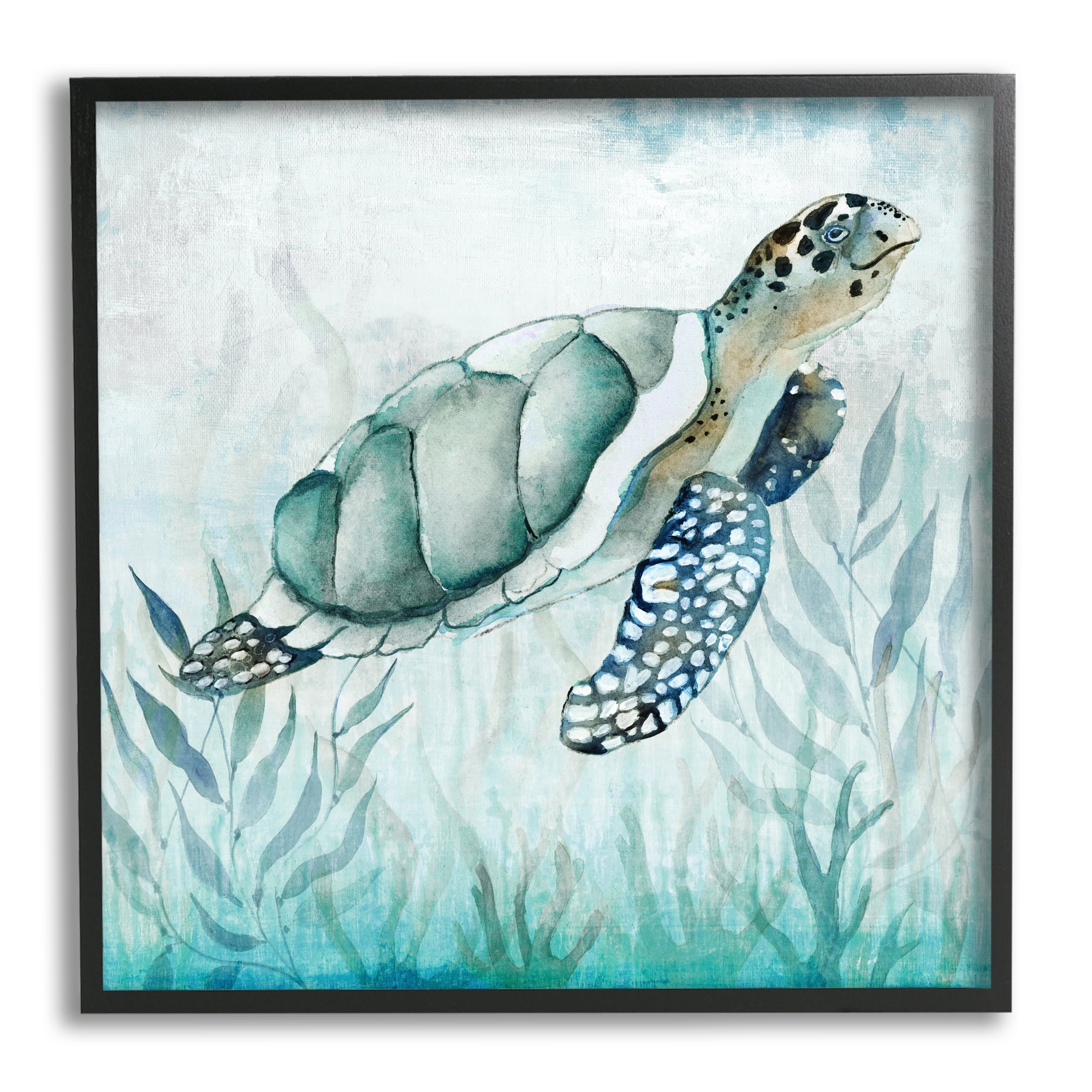Black Framed Turtle and Seaweed Canvas Print, 17 x 17