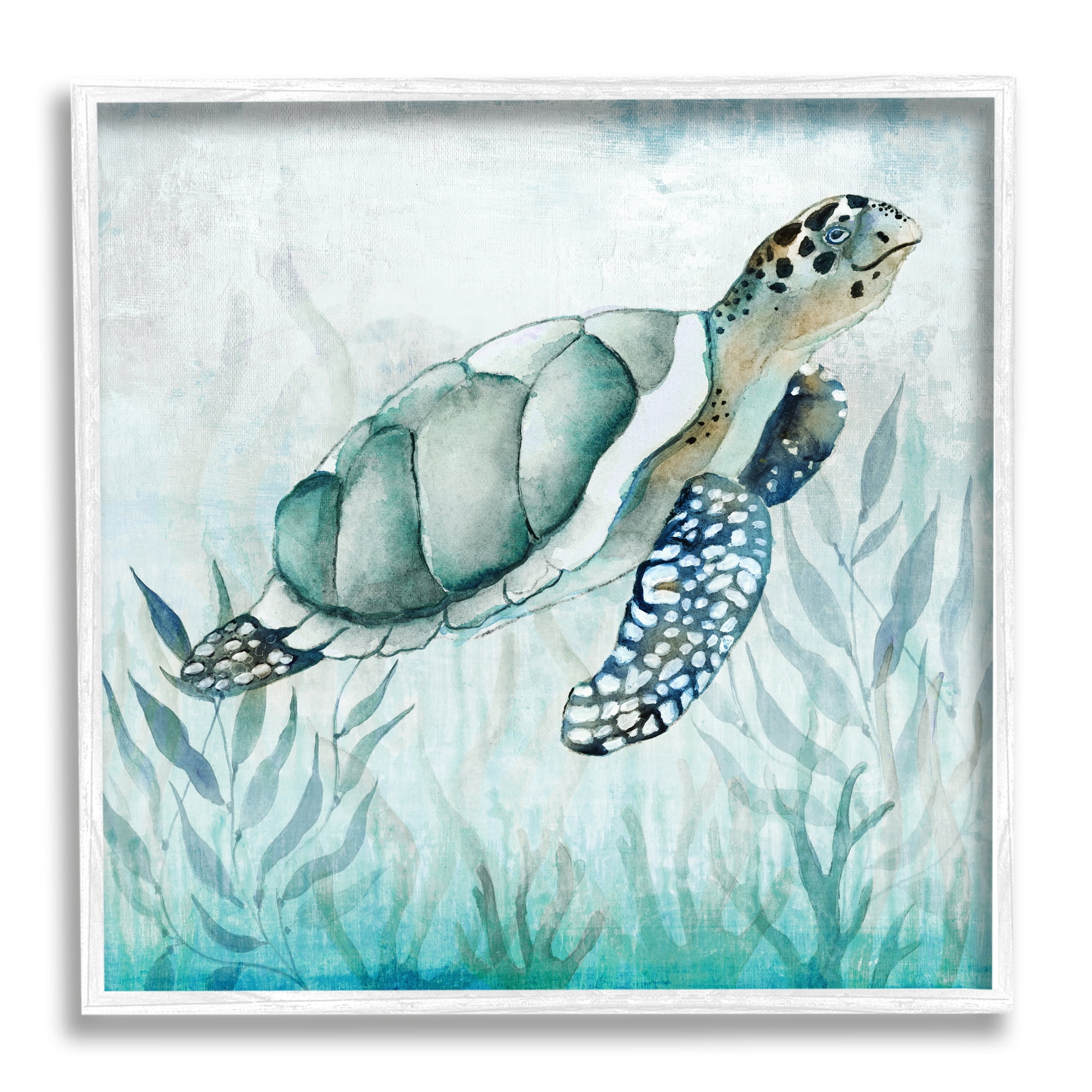 White Framed Turtle and Seaweed Canvas Print, 12 x 12