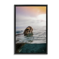 Stupell Industries Turtle Swim at Sunrise Animals Photography Black Floater Framed Canvas Art Print Wall Art, 17 x 25