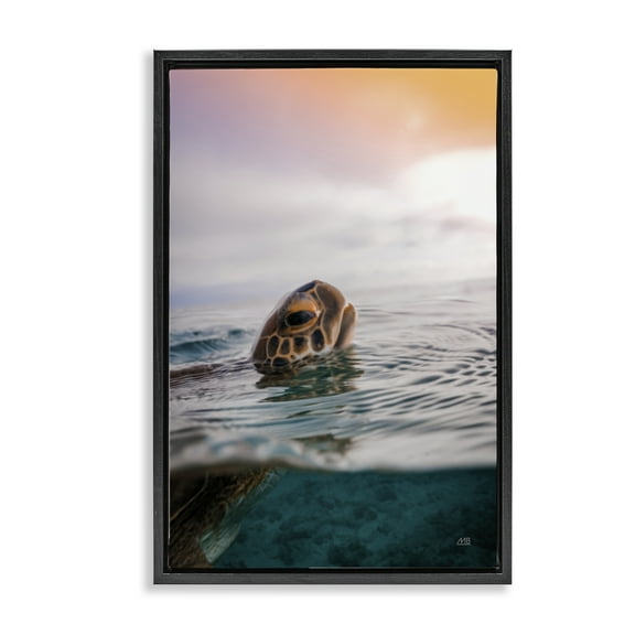 Stupell Industries Turtle Swim at Sunrise Animals Photography Black Floater Framed Canvas Art Print Wall Art, 17 x 25