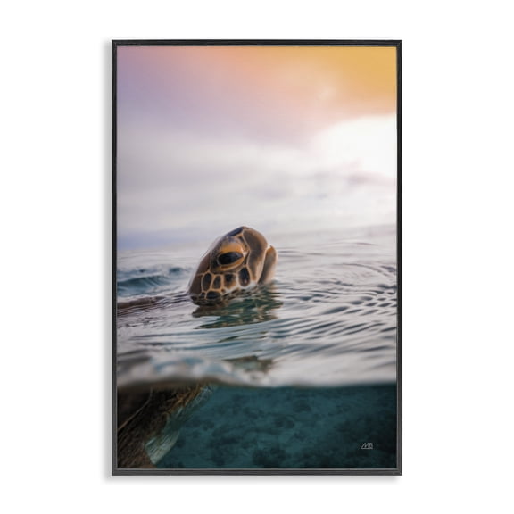 Stupell Industries Turtle Swim at Sunrise Animals Photography Black Framed Art Print Wall Art, 20 x 30