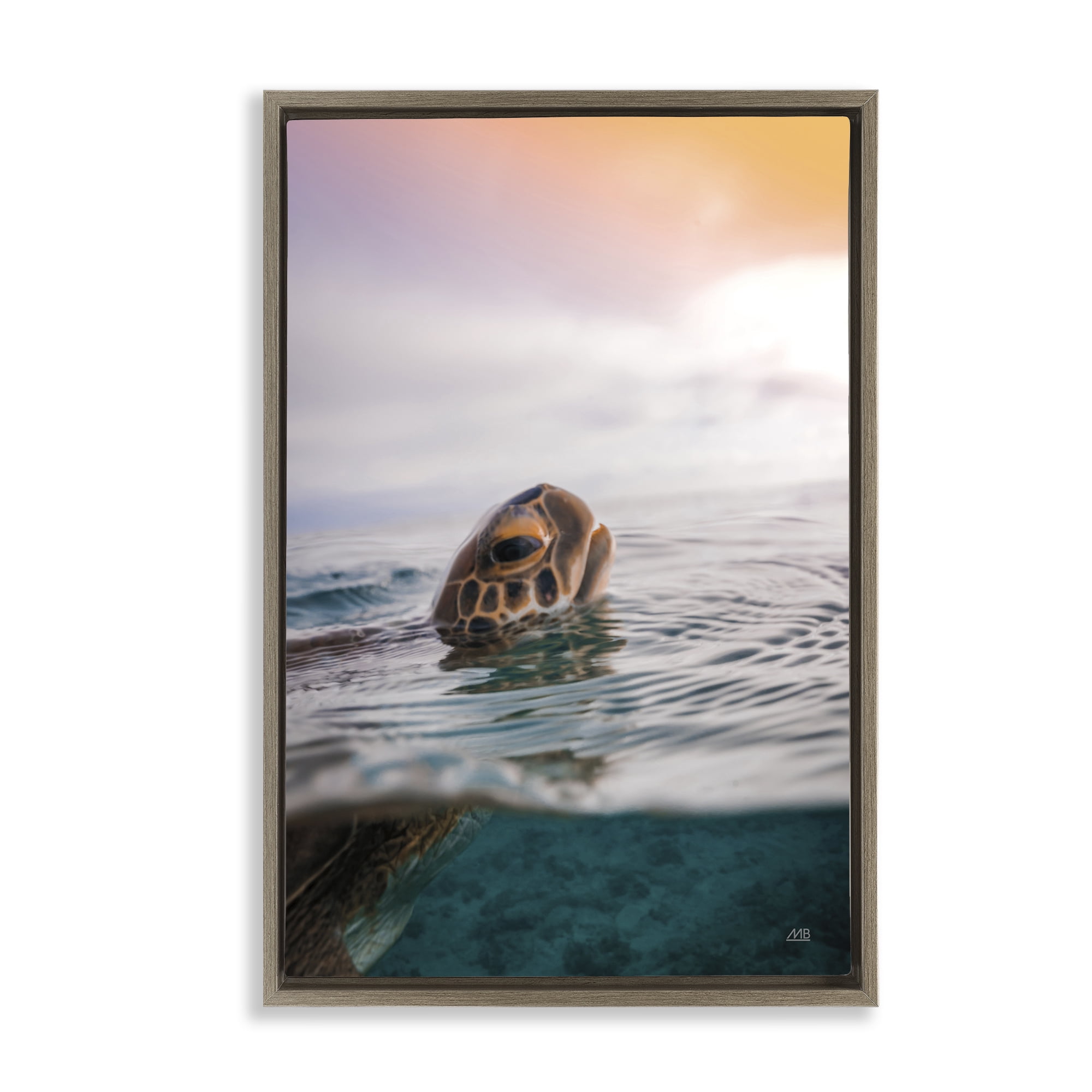 Stupell Industries Turtle Swim at Sunrise Animals Photography Brown Floater Framed Canvas Art Print Wall Art, 21 x 31