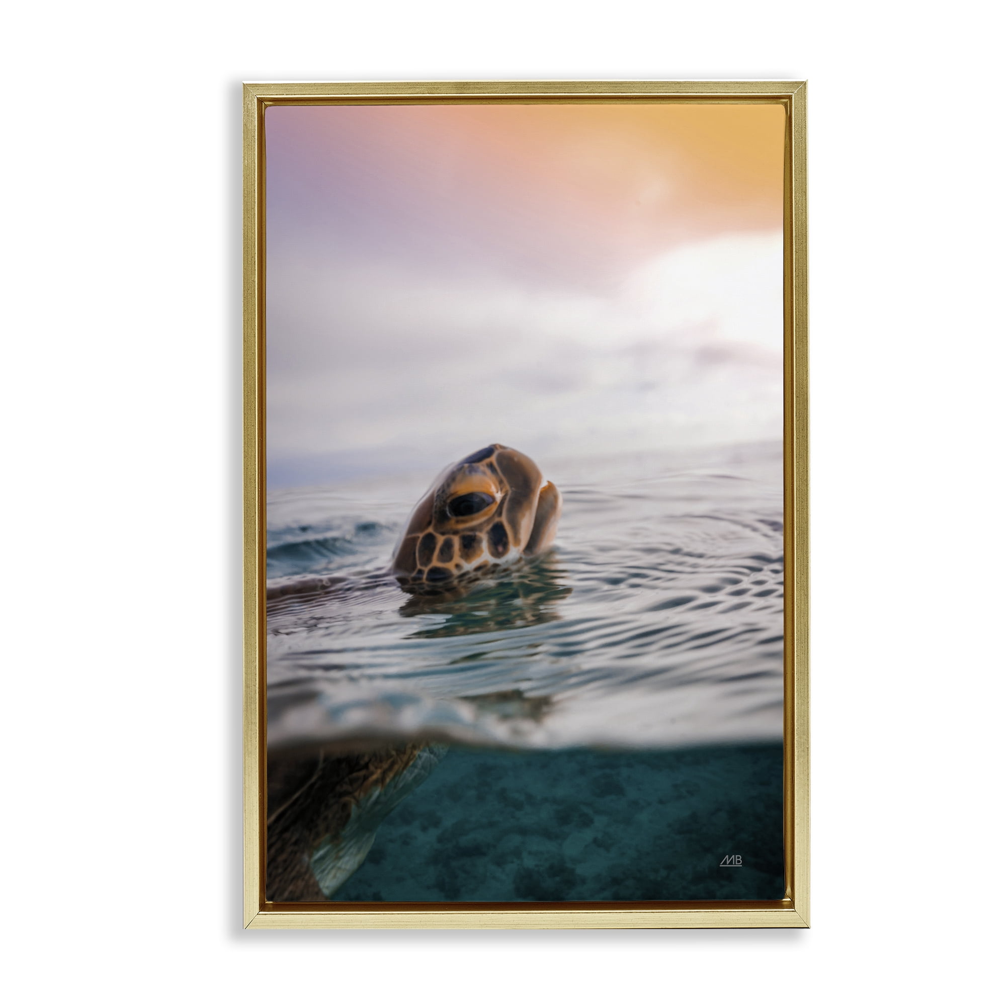 Stupell Industries Turtle Swim at Sunrise Animals Photography Gold Floater Framed Canvas Art Print Wall Art, 17 x 25