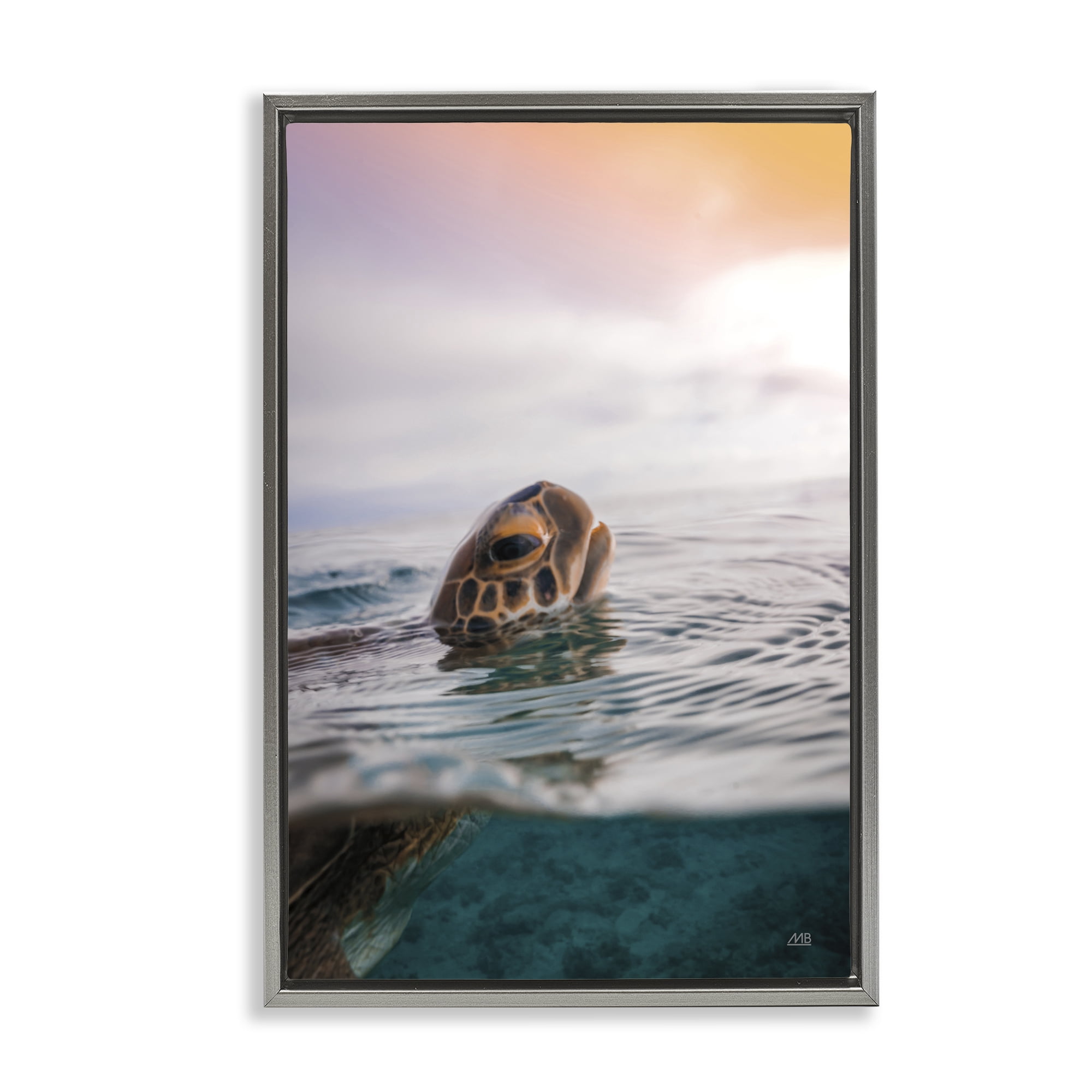 Stupell Industries Turtle Swim at Sunrise Animals Photography Gray Floater Framed Canvas Art Print Wall Art, 21 x 31