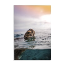Stupell Industries Turtle Swim at Sunrise Animals Photography Unframed Art Print Wall Art, 10 x 15