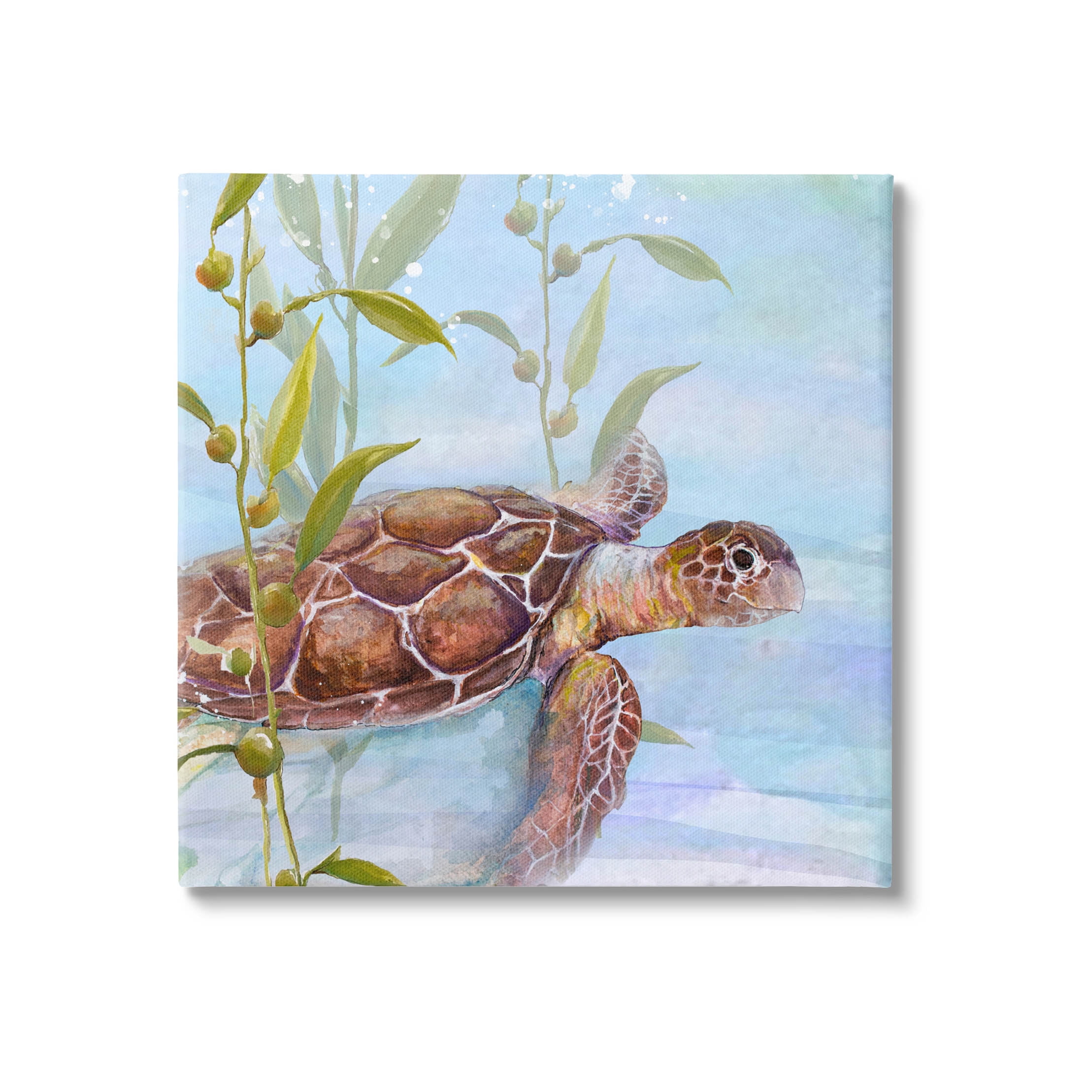 Turtle Swimming Between Reef 30" x 30" Canvas Art Print