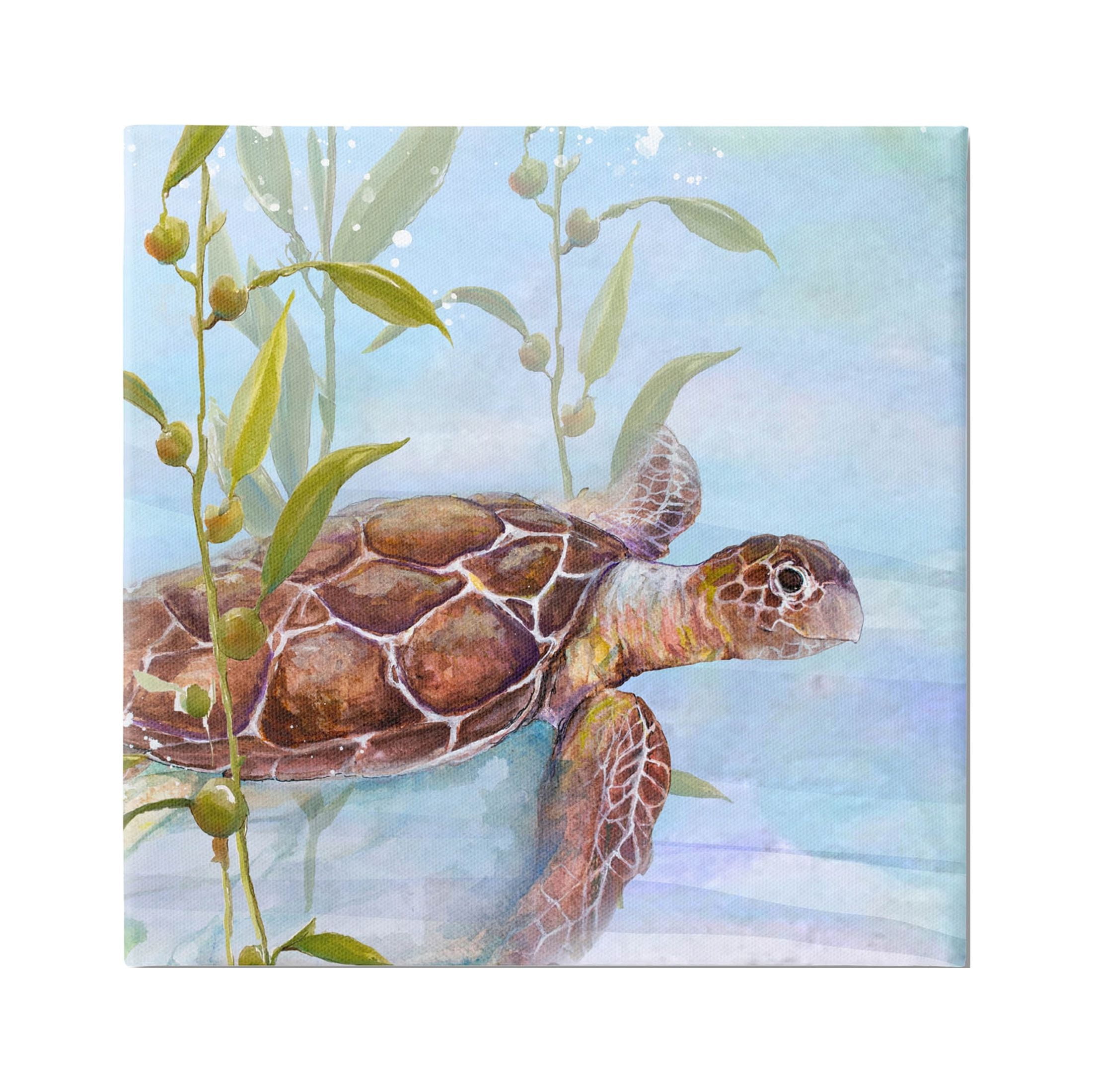 17" x 17" Brown and Blue Turtle Canvas Art Print