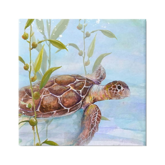 Stupell Industries Turtle Swimming Between Reef Graphic Art Gallery Wrapped Canvas Print Wall Art, Design by Diannart