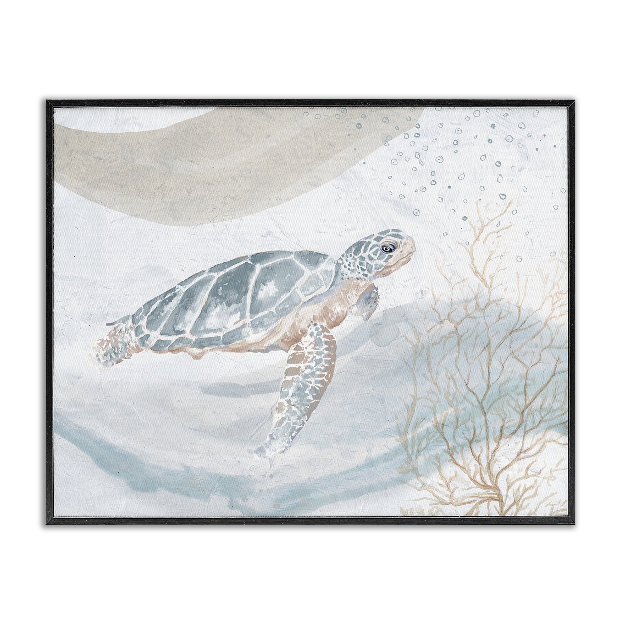 Stupell Industries Turtle Watercolor Style Animals & Insects Painting Black Framed Art Print Wall Art, 30 x 24