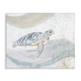 thumbnail image 1 of Stupell Industries Turtle Watercolor Style Animals & Insects Painting Gallery Wrapped Canvas Art Print Wall Art, 20 x 16, 1 of 8