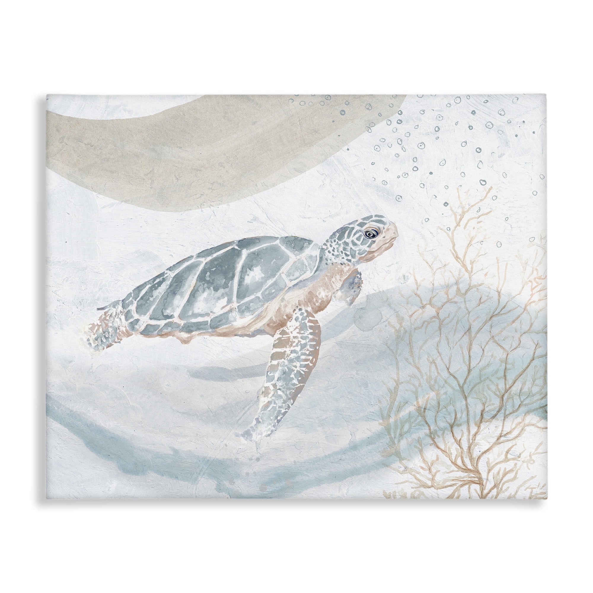 Stupell Industries Turtle Watercolor Style Animals & Insects Painting Gallery Wrapped Canvas Art Print Wall Art, 40 x 30