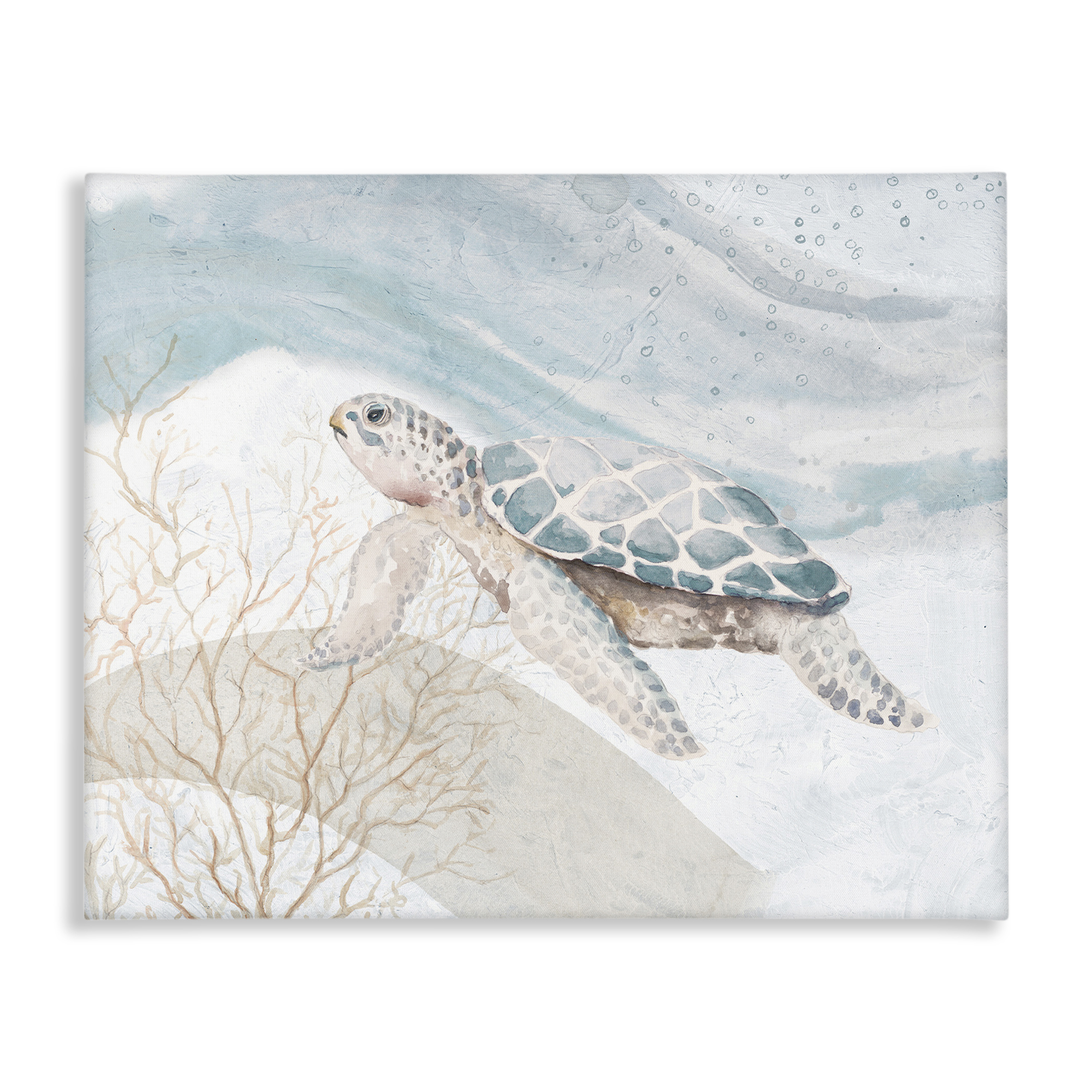Stupell Industries Turtle on Brushed Pattern Animals & Insects Painting Gallery Wrapped Canvas Art Print Wall Art, 30 x 24