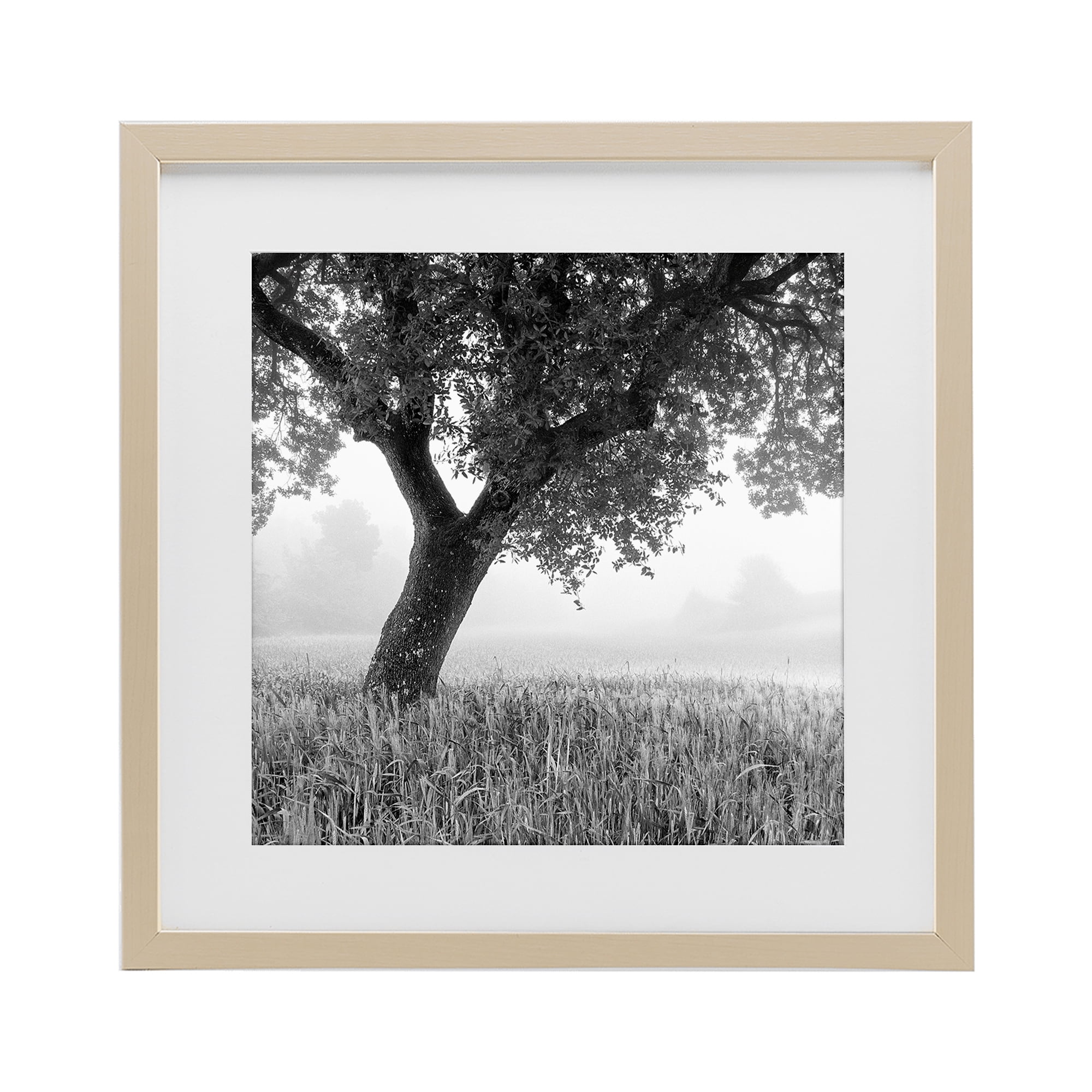 Stupell Industries Tuscan Morning Oak in Mist Birch Framed Print Under Glass, design by Chip Forelli