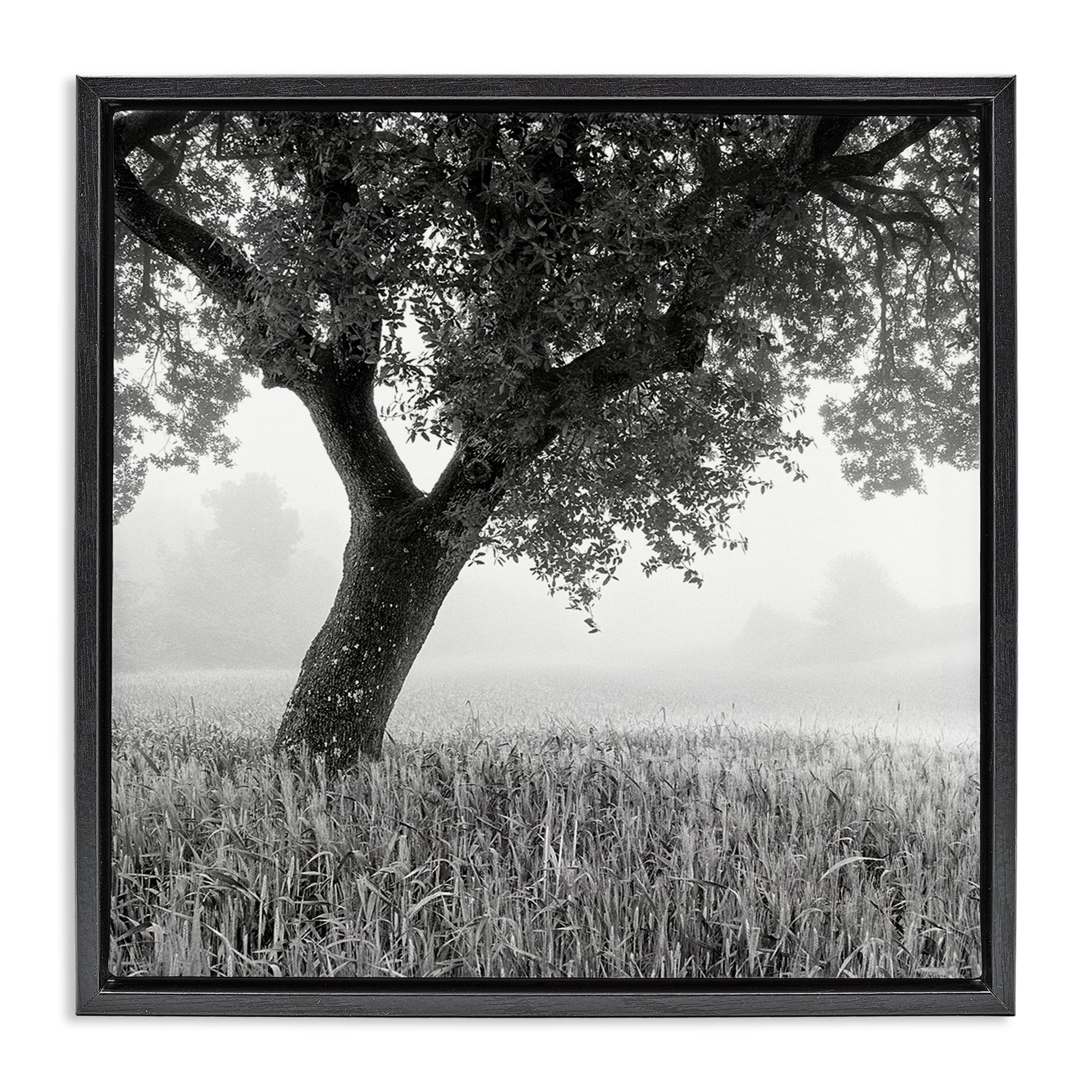 Stupell Industries Tuscan Morning Oak in Mist Black Framed Floater Canvas Wall Art, design by Chip Forelli