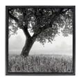 thumbnail image 1 of Stupell Industries Traditional Tuscan Morning Oak in Mist Black Floating Frame Canvas Art, 25 x 25, by Chip Forelli, 1 of 8