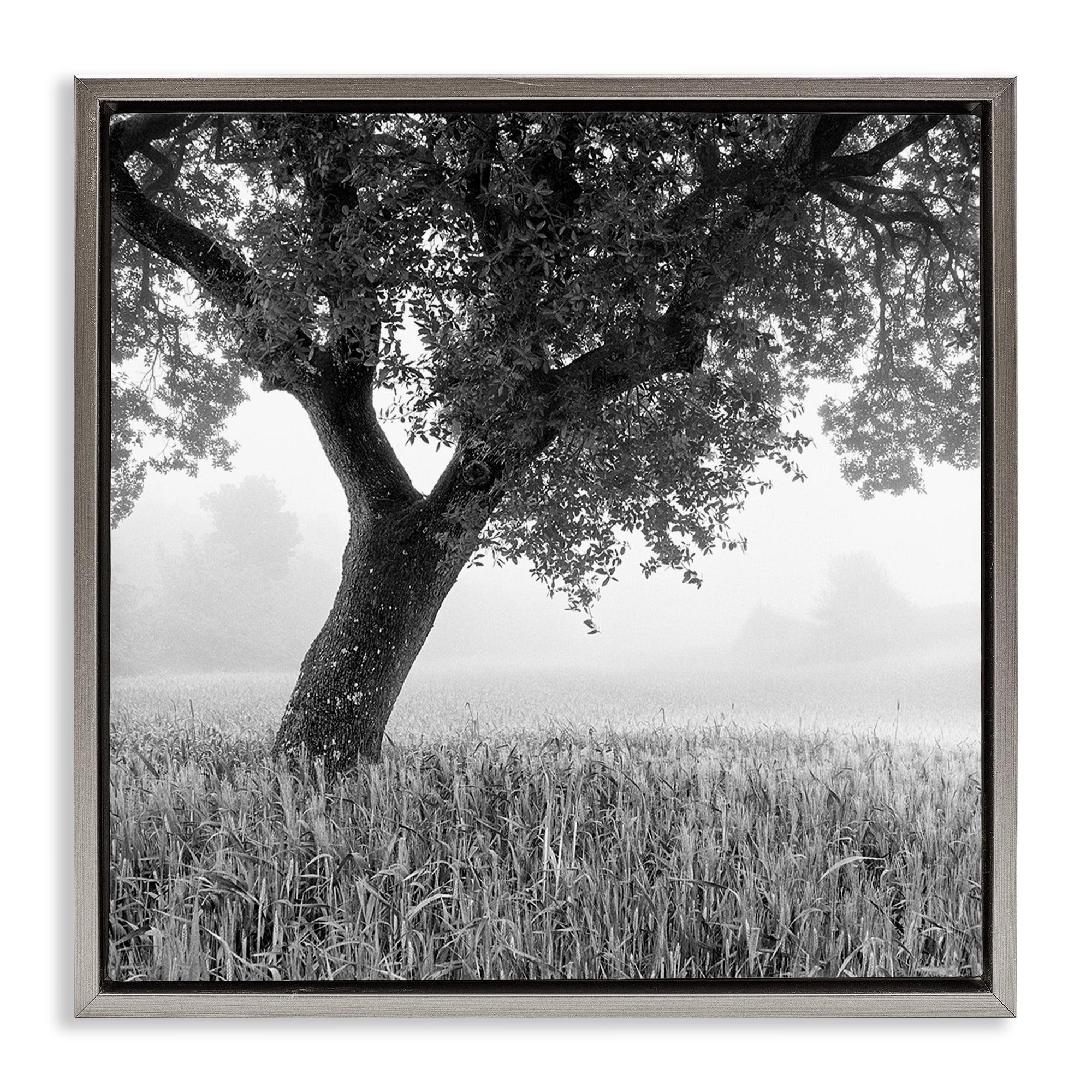 Stupell Industries Tuscan Morning Oak in Mist Gray Framed Floater Canvas Wall Art, design by Chip Forelli