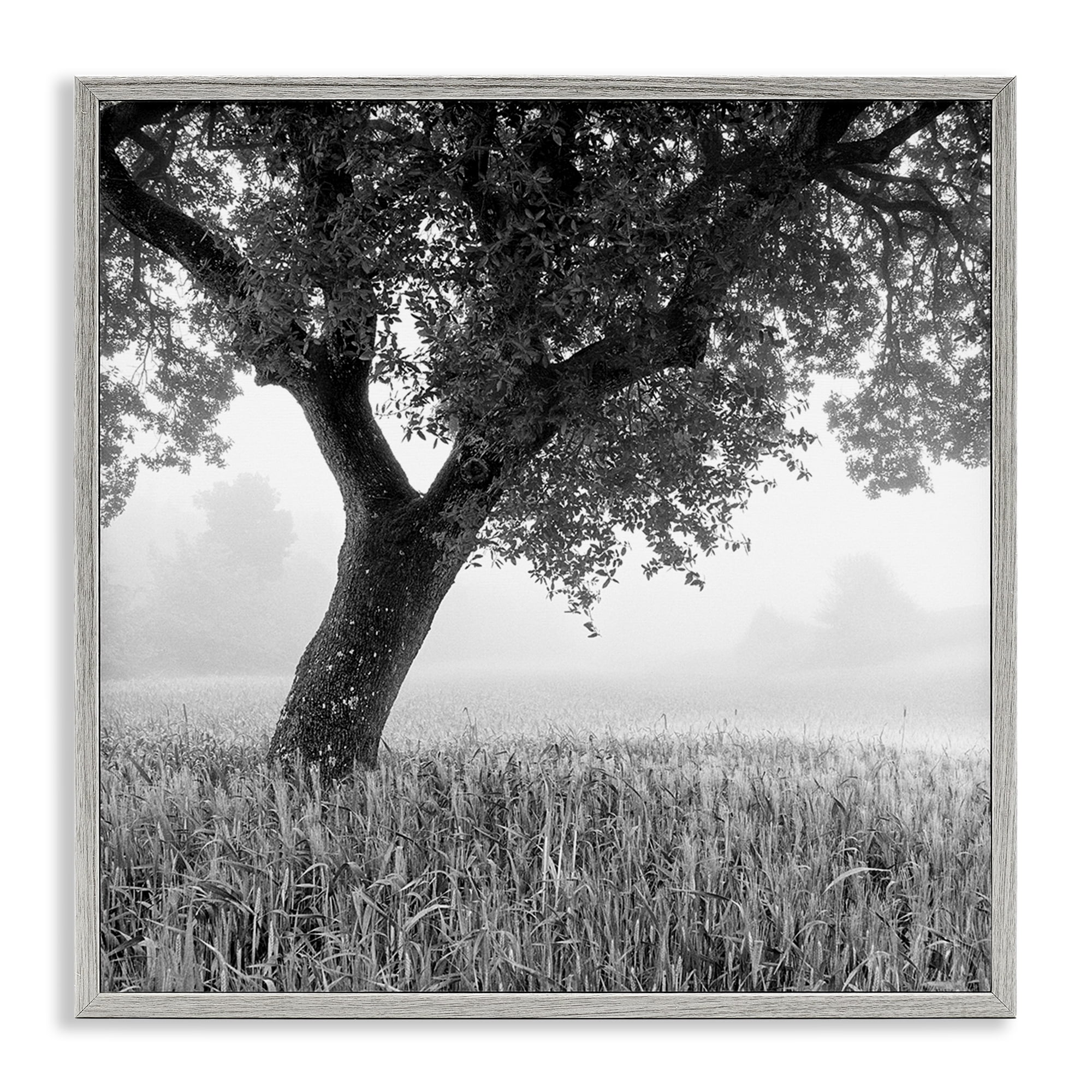 Stupell Industries Tuscan Morning Oak in Mist Gray Framed Giclee Art, design by Chip Forelli