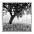 thumbnail image 1 of Stupell Industries Traditional Tuscan Morning Oak in Mist Gray Framed Giclee Art, 17 x 17, by Chip Forelli, 1 of 8