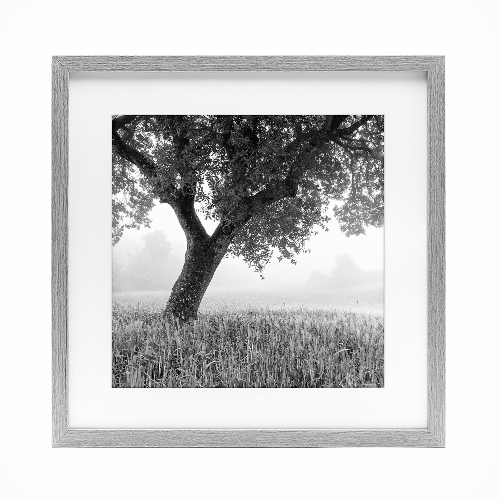 Stupell Industries Tuscan Morning Oak in Mist Gray Framed Print Under Glass, design by Chip Forelli