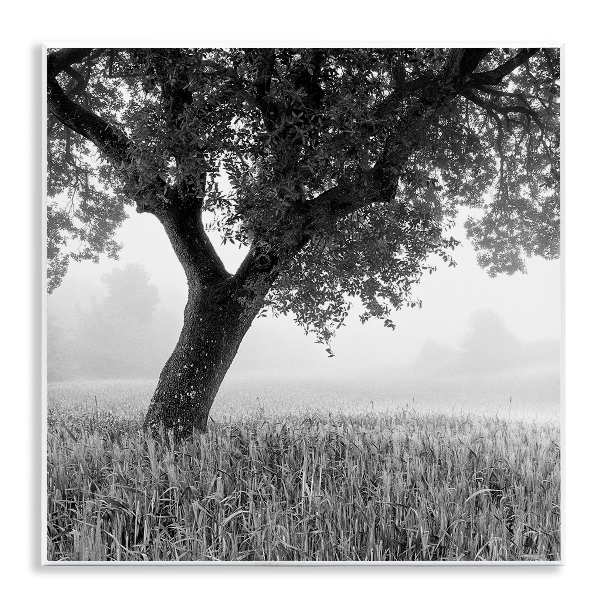 Stupell Industries Tuscan Morning Oak in Mist Wall Plaque Art, design by Chip Forelli