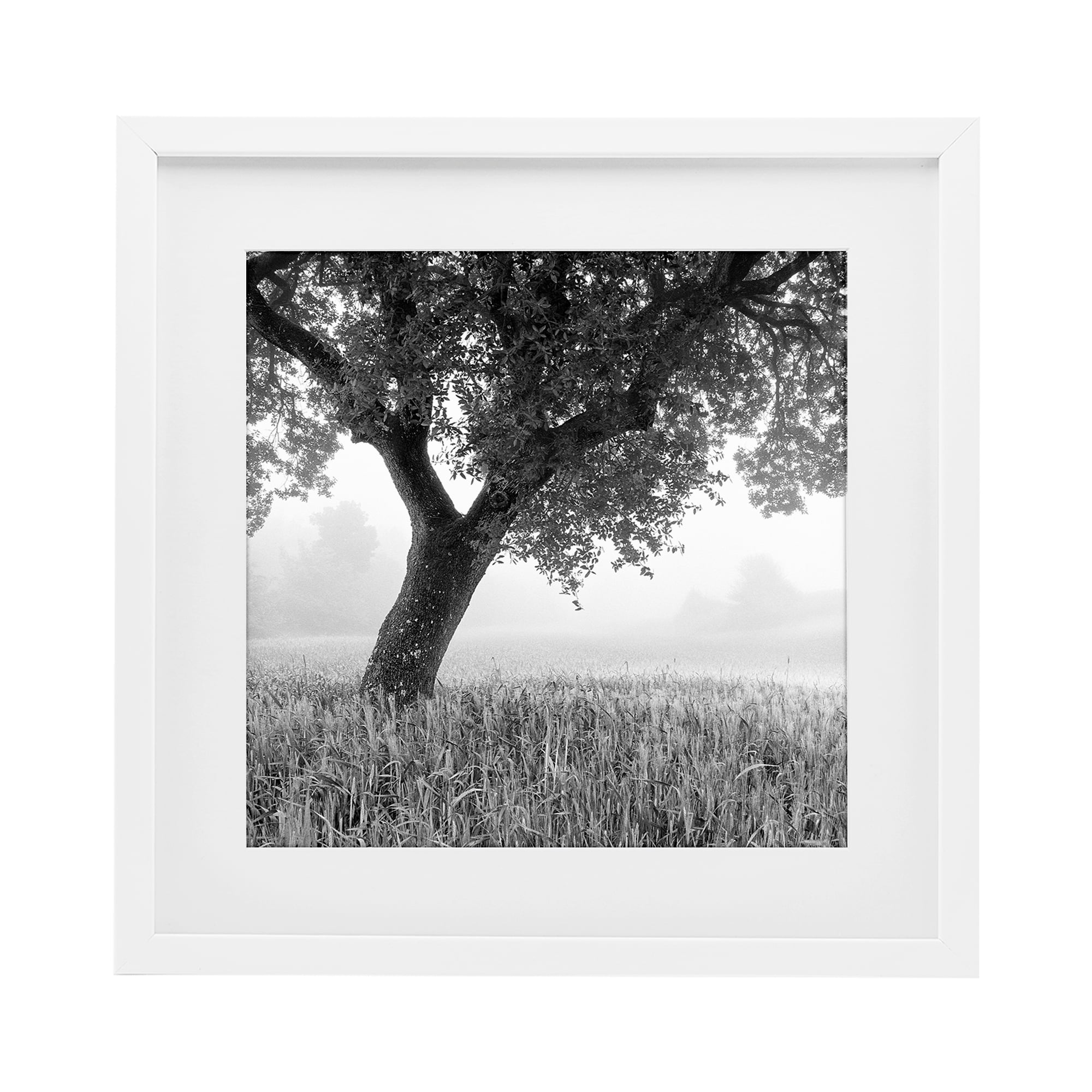 Stupell Industries Tuscan Morning Oak in Mist White Framed Print Under Glass, design by Chip Forelli