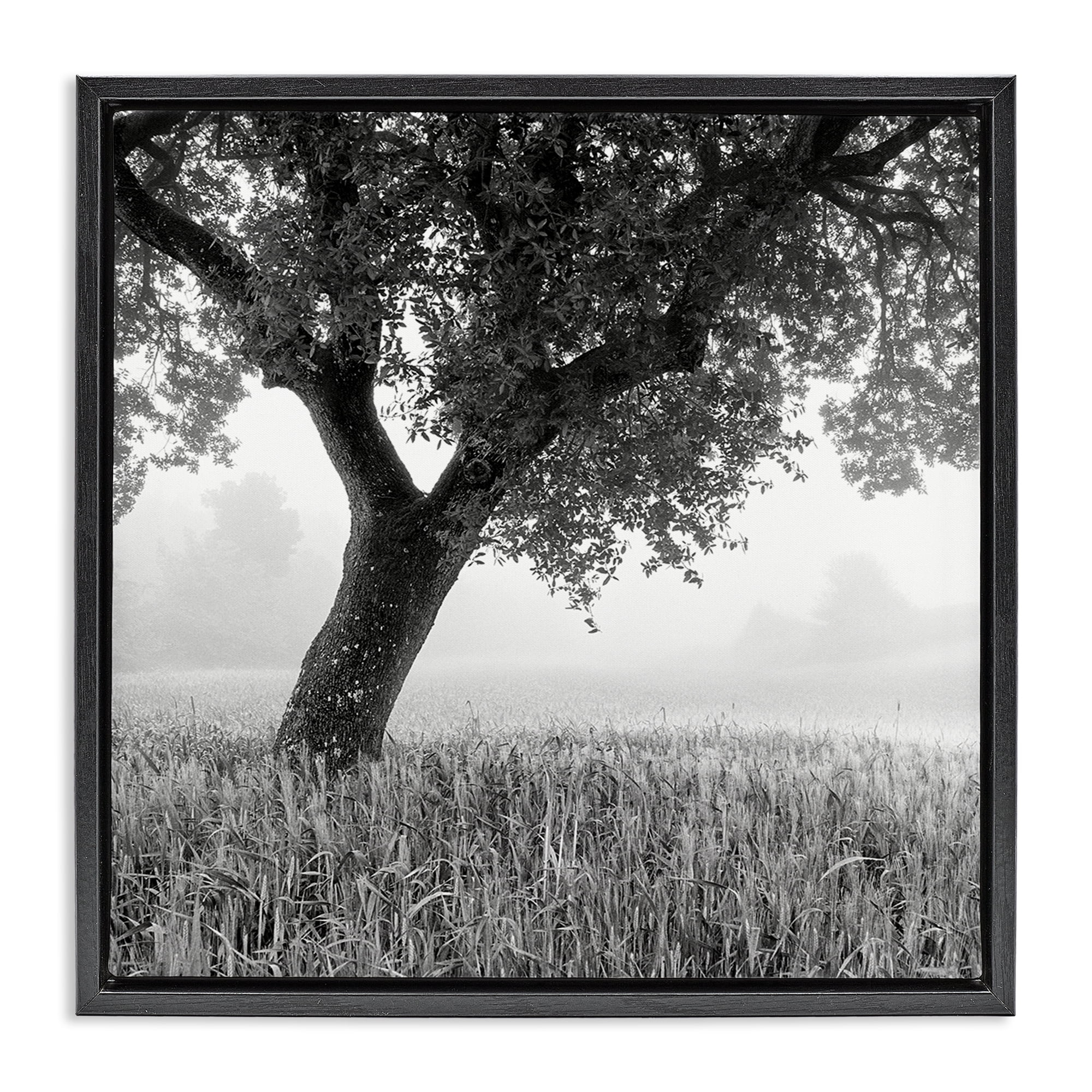Stupell Industries Tuscan Morning Scenery Landscape & Nature Photography Black Floater Framed Canvas Art Print Wall Art, 18 x 18