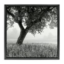 Stupell Industries Tuscan Morning Scenery Landscape & Nature Photography Black Floater Framed Canvas Art Print Wall Art, 18 x 18