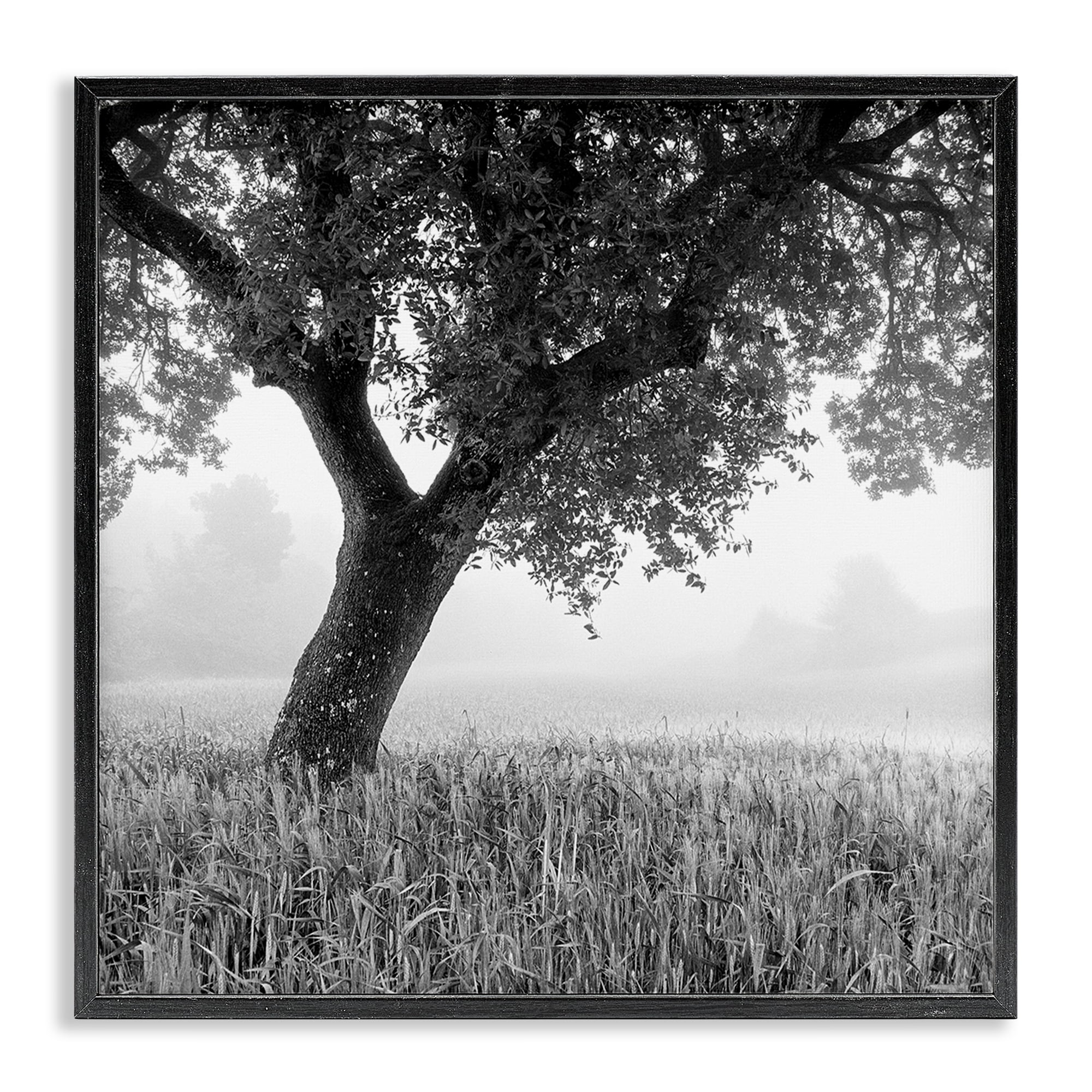 Stupell Industries Tuscan Morning Scenery Landscape & Nature Photography Black Framed Art Print Wall Art, 24 x 24