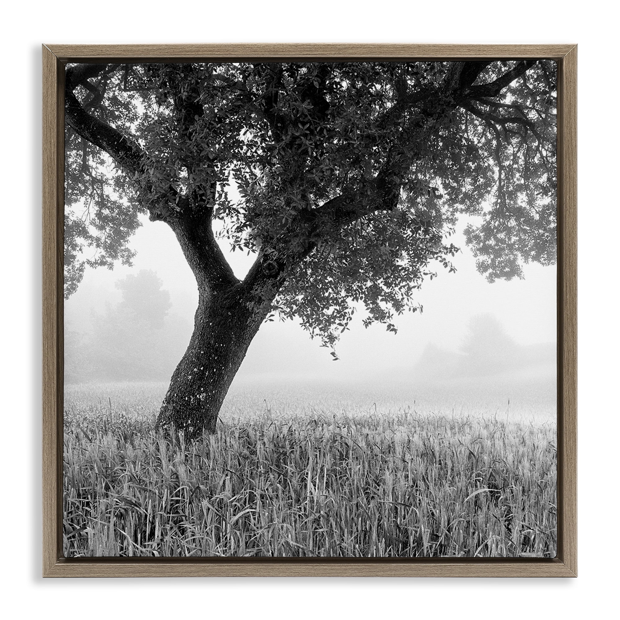 Stupell Industries Tuscan Morning Scenery Landscape & Nature Photography Brown Floater Framed Canvas Art Print Wall Art, 18 x 18