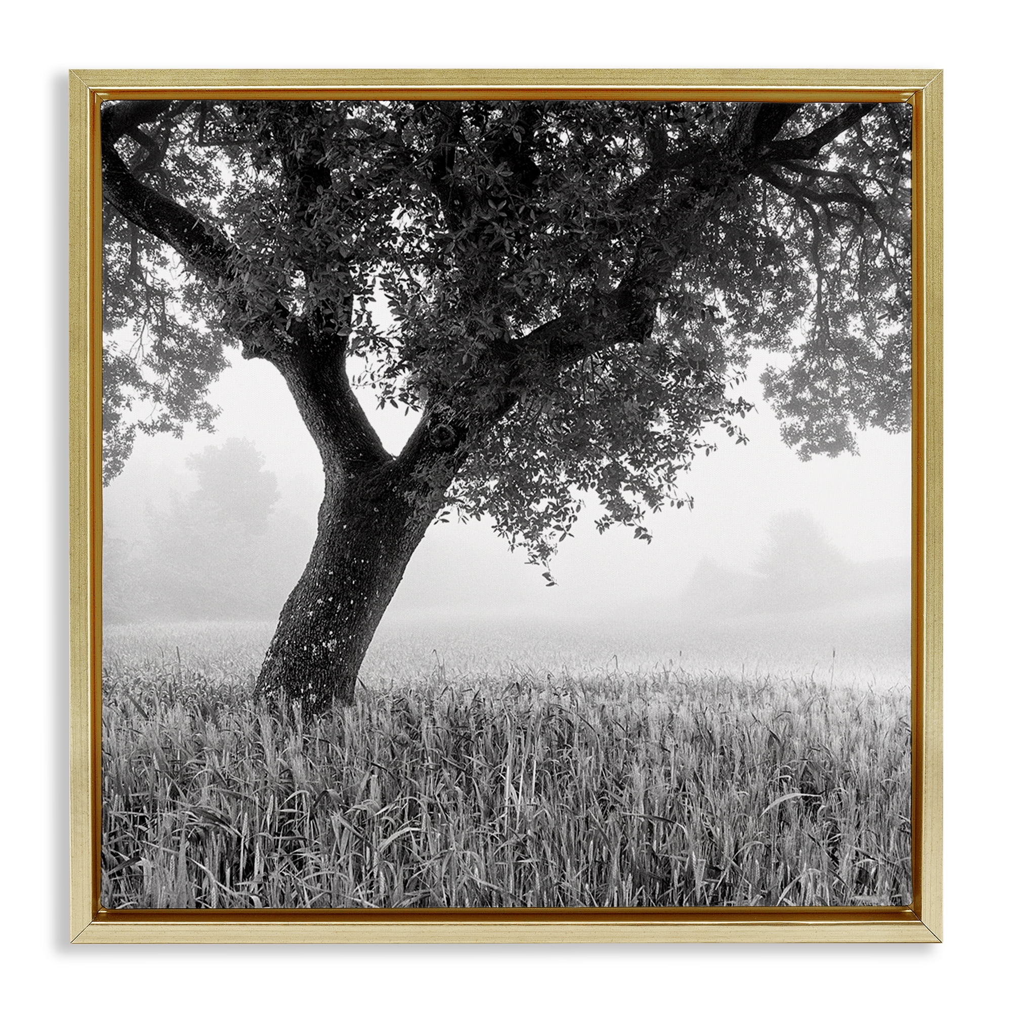 Stupell Industries Tuscan Morning Scenery Landscape & Nature Photography Gold Floater Framed Canvas Art Print Wall Art, 18 x 18