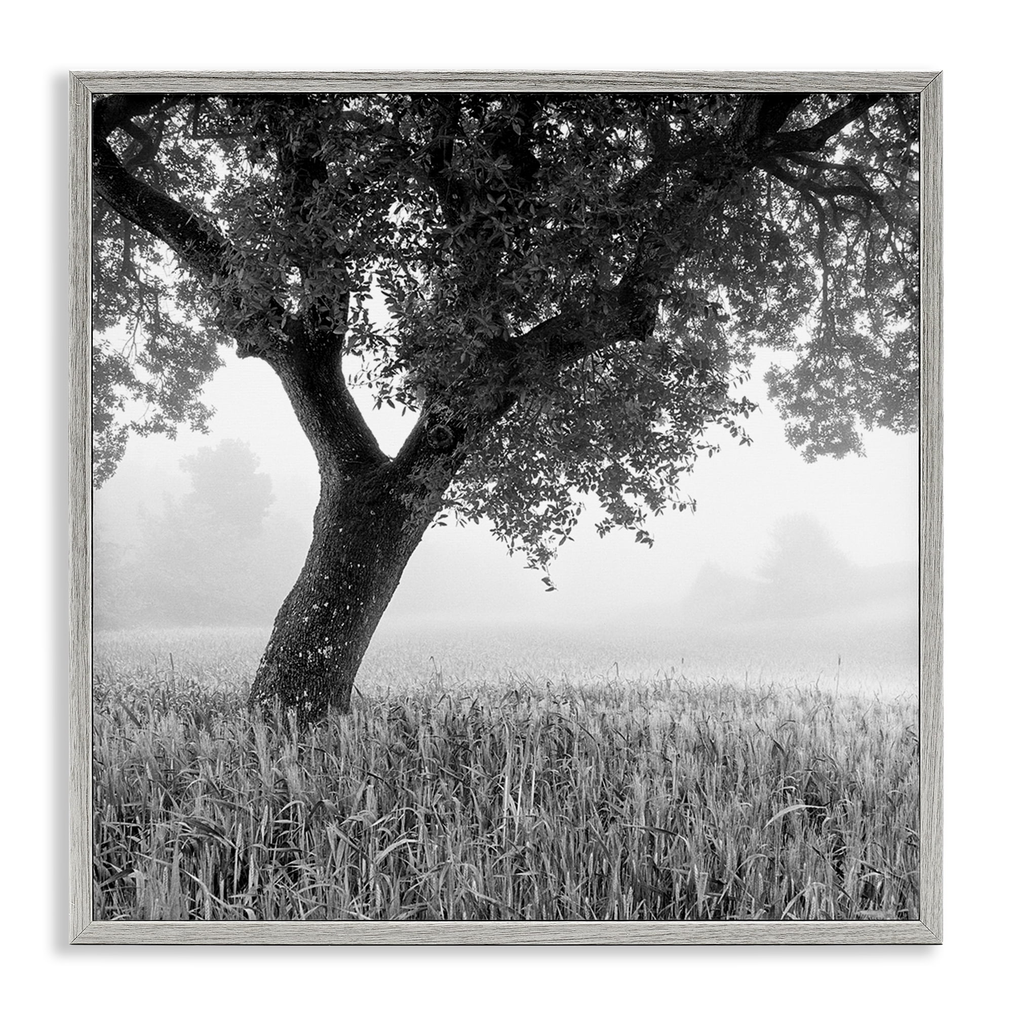 Stupell Industries Tuscan Morning Scenery Landscape & Nature Photography Gray Framed Art Print Wall Art, 17 x 17