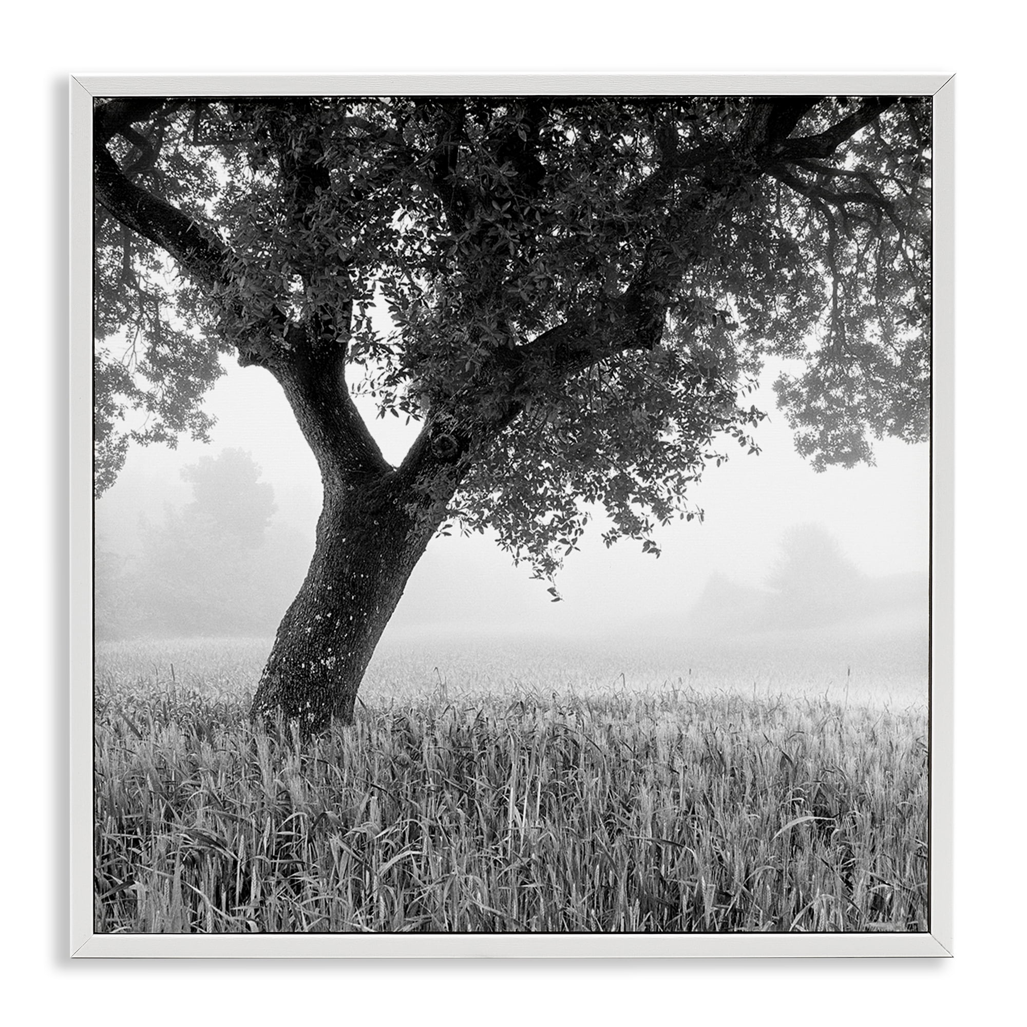 Stupell Industries Tuscan Morning Scenery Landscape & Nature Photography White Framed Art Print Wall Art, 24 x 24