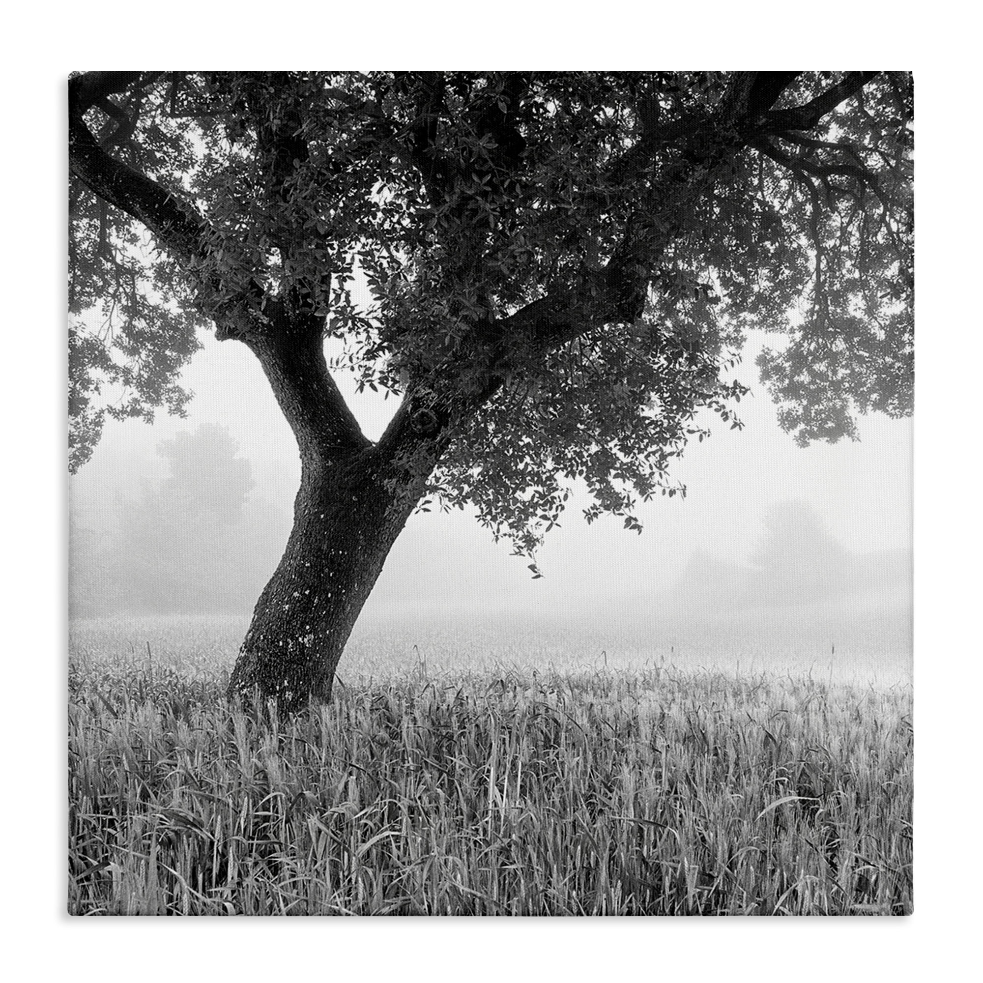 Stupell Industries Tuscan Morning Scenery Landscape & Nature Photography Wrapped Canvas Art Print Wall Art, 30 x 30
