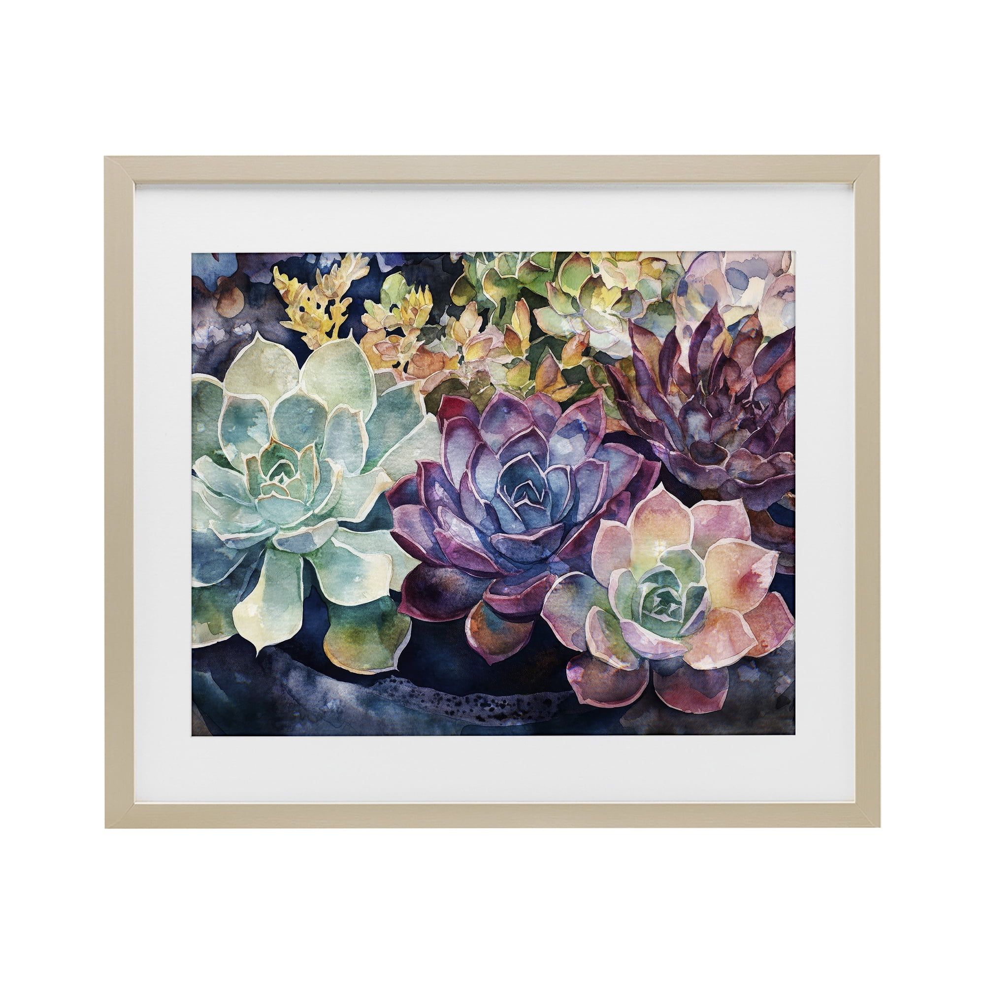 Stupell Industries Tutti Succulents Collection Birch Framed Print Under Glass, design by Svetlana Aleynikova
