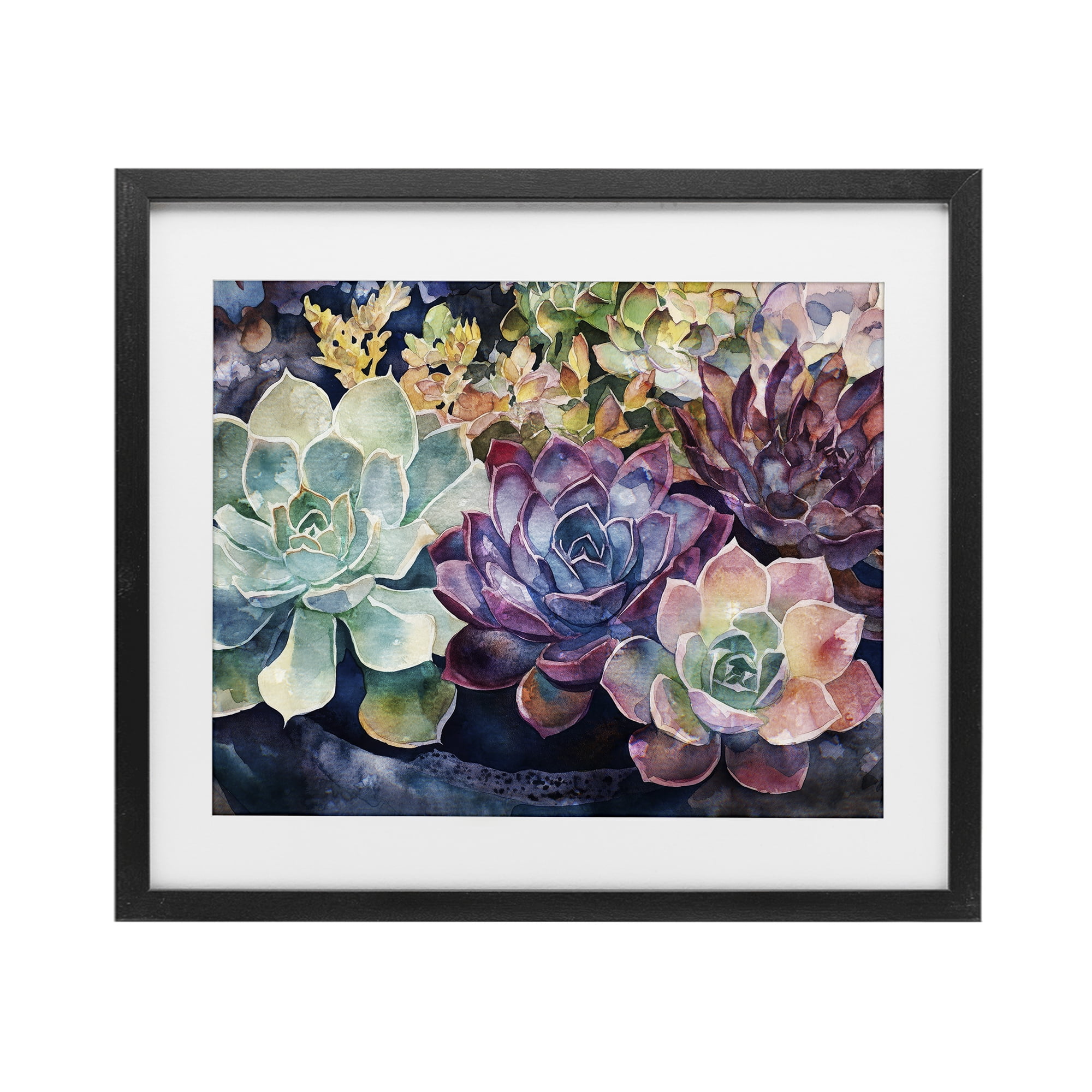 Stupell Industries Tutti Succulents Collection Black Framed Print Under Glass, design by Svetlana Aleynikova
