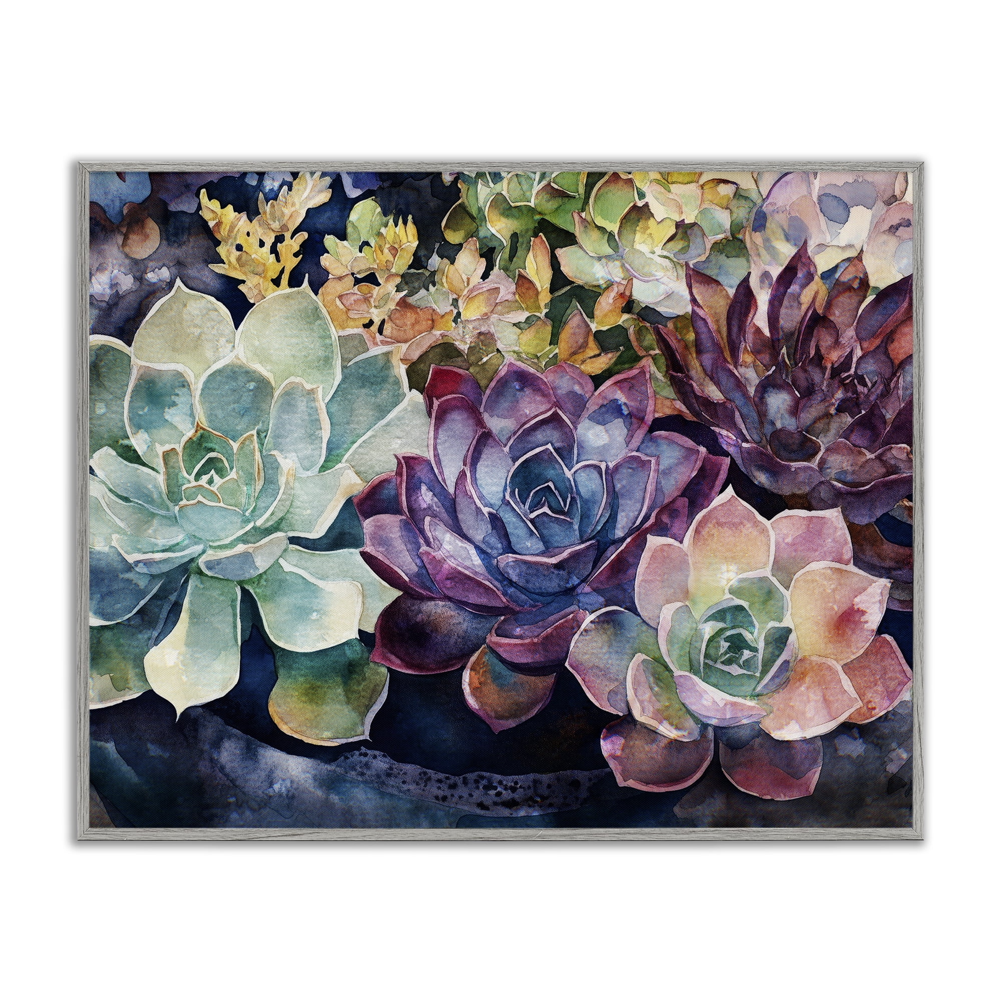 Stupell Industries Tutti Succulents Collection Gray Framed Giclee Art, design by Svetlana Aleynikova