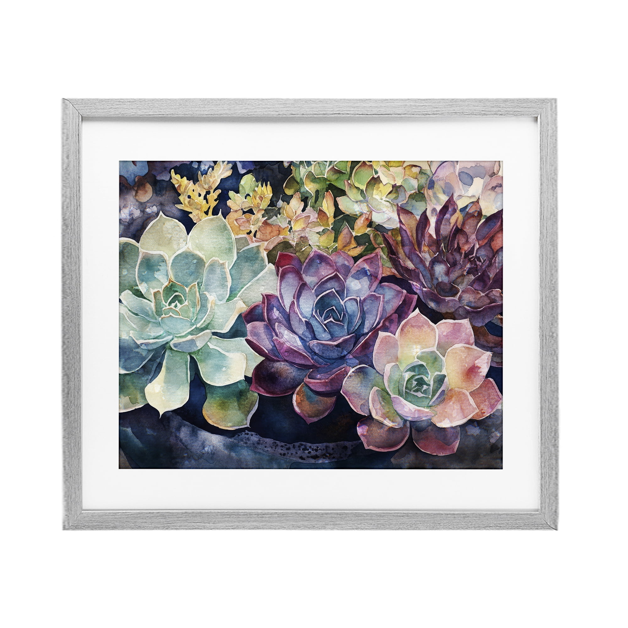 Stupell Industries Tutti Succulents Collection Gray Framed Print Under Glass, design by Svetlana Aleynikova